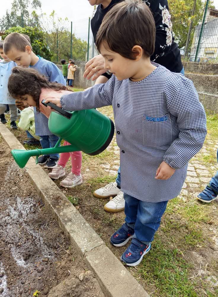 Regar as sementeiras