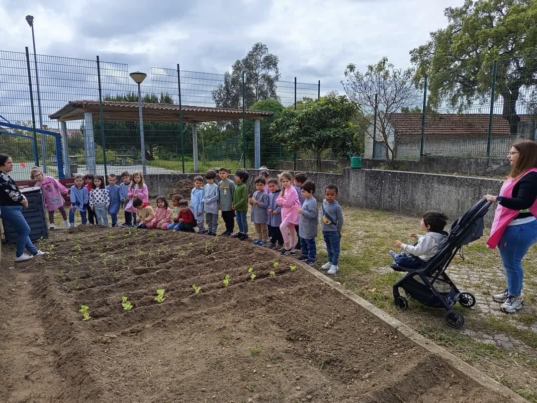 Visita à horta para ver as sementeiras