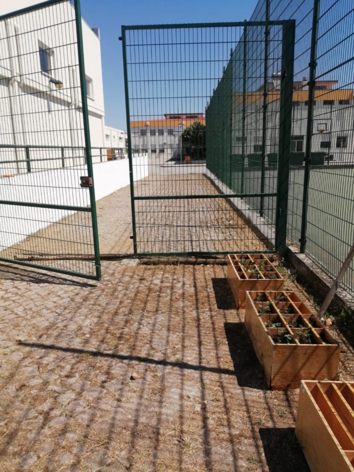 Visão da saída da horta