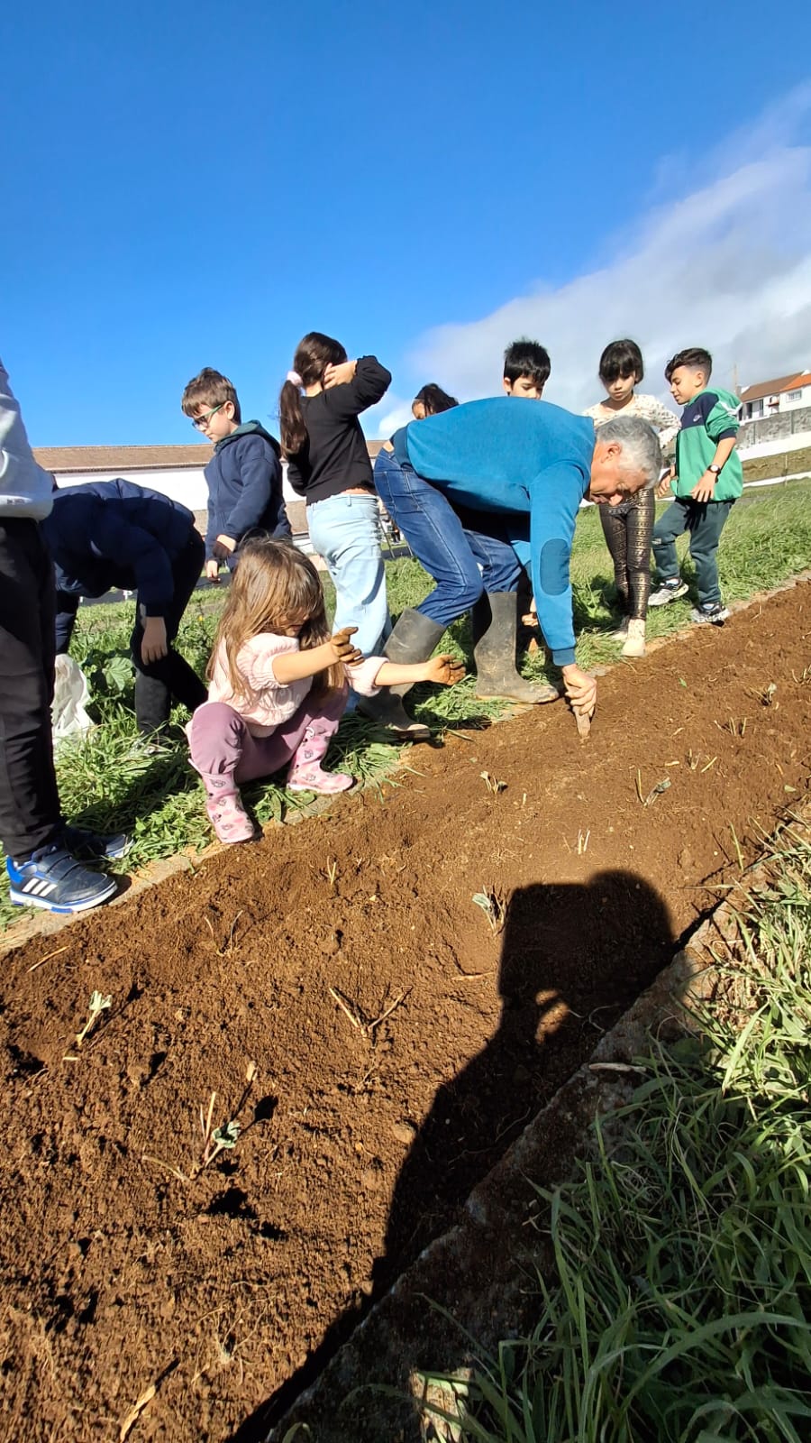 Preparação do terreno para cultivo.