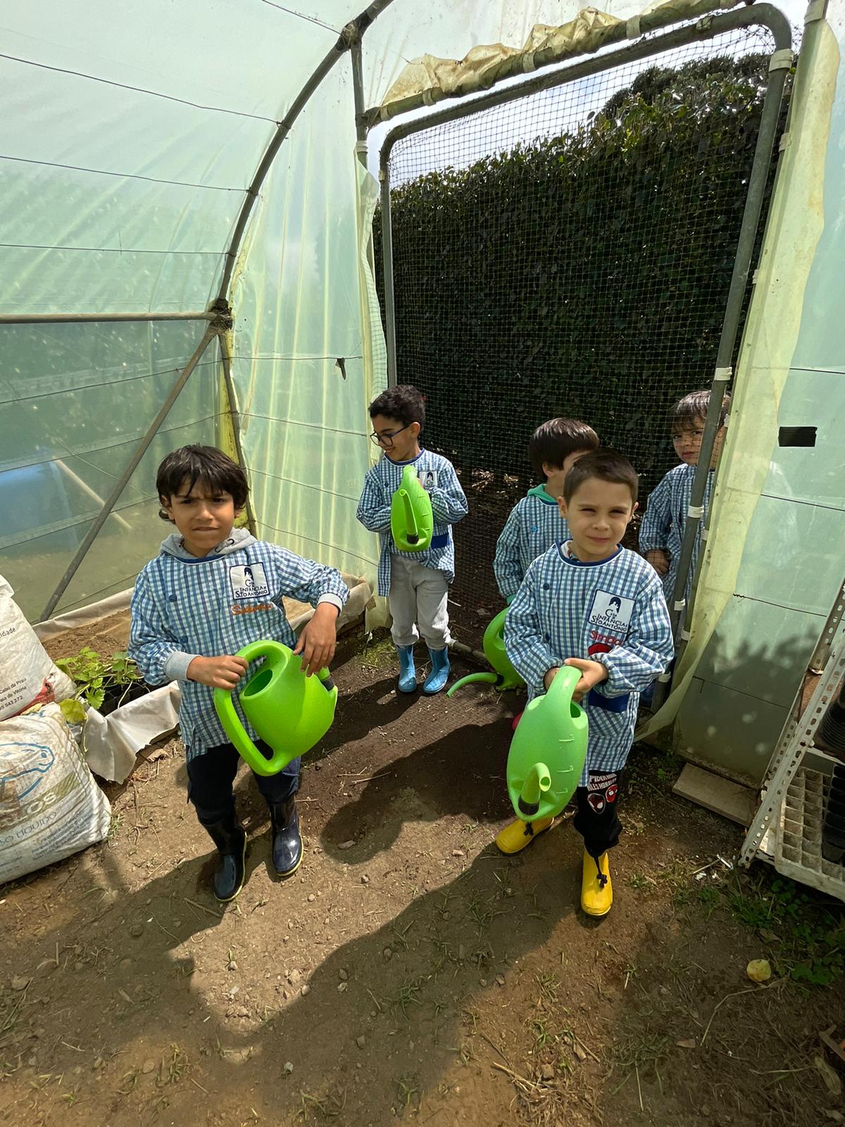 Alunos entrando na estufa