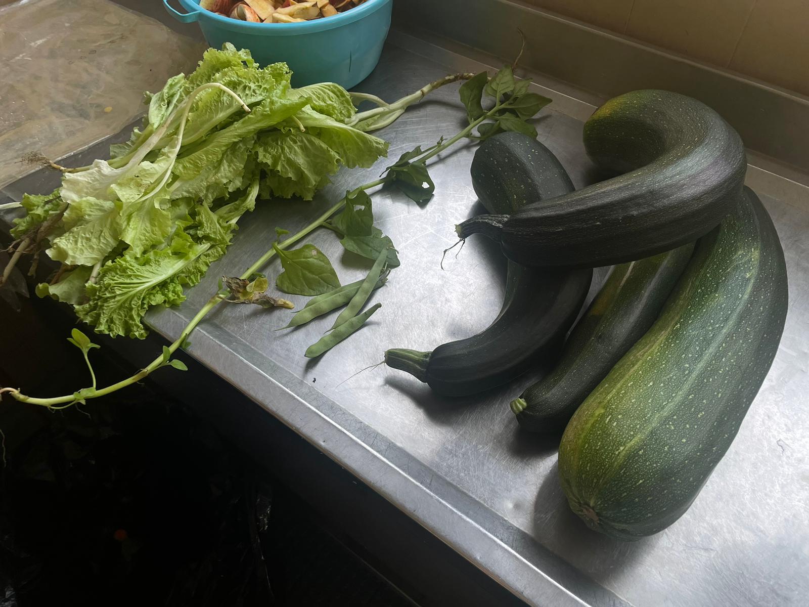 Legumes entregues na cozinha para serem cozinhados