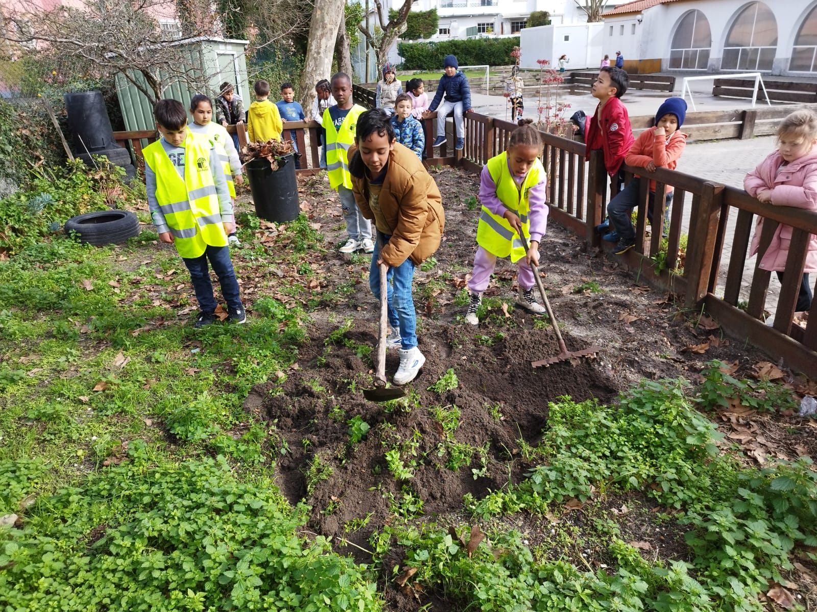 Limpeza do terreno feita pelos alunos da escola.