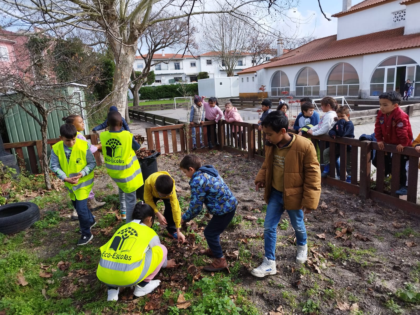 Limpeza do terreno feita pelos alunos da escola.