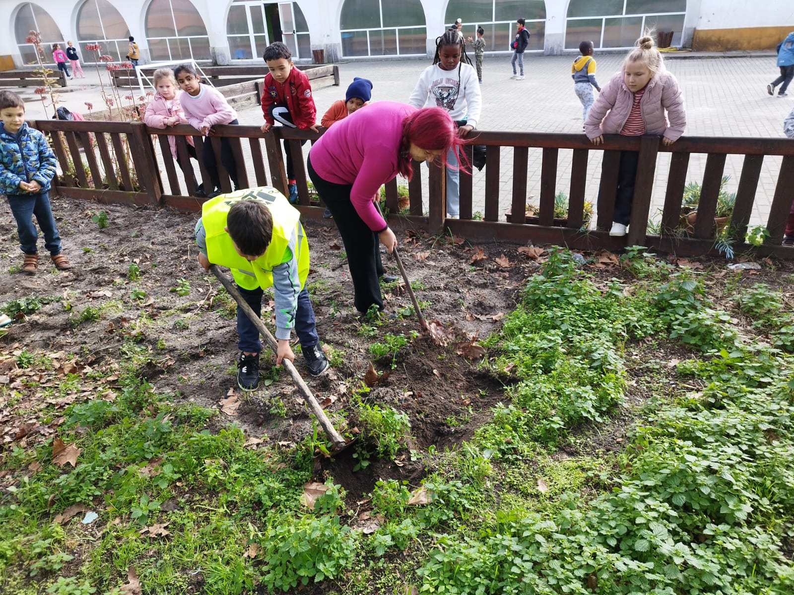 Limpeza do terreno feita pelos alunos da escola.