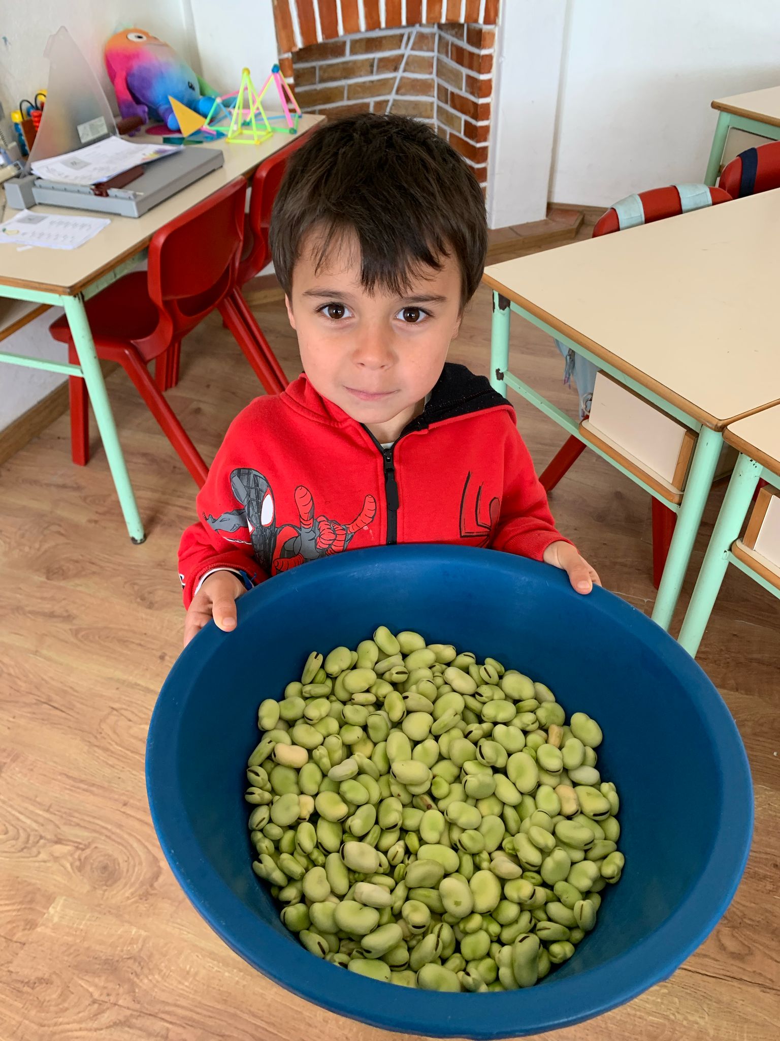 Olhem lá que lindas favas!!!