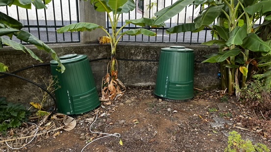 Estado inicial da horta biológica