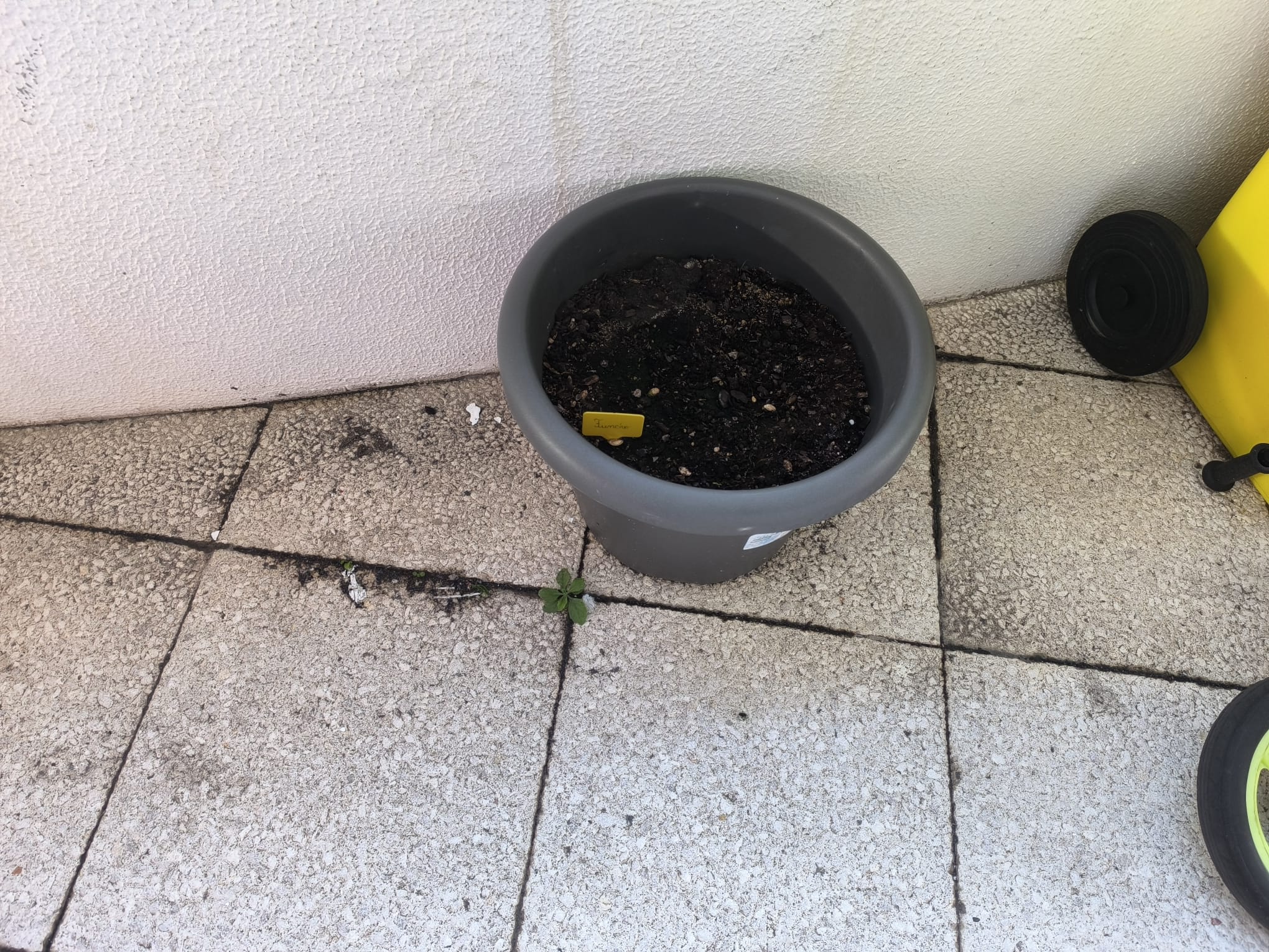 Terra seca, vasos sem plantações.