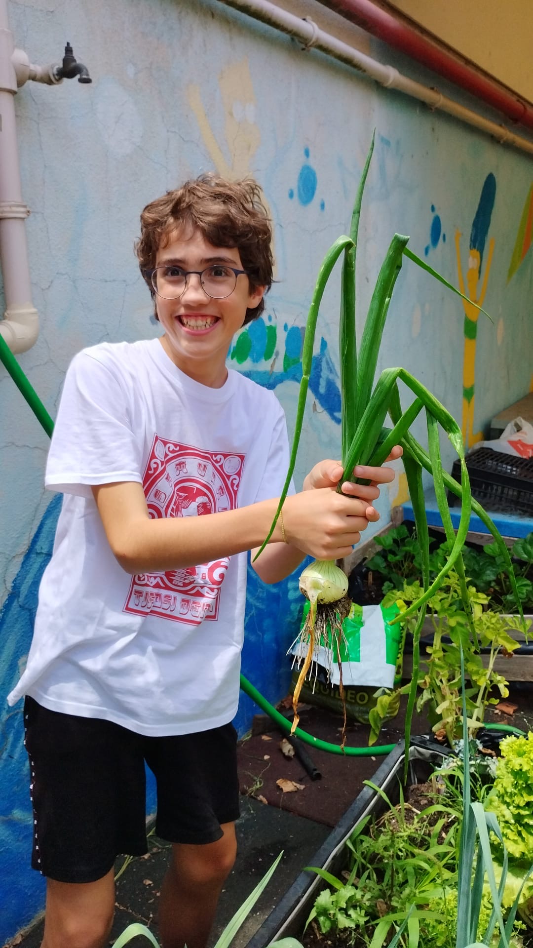 Os alunos levaram os legumes para casa para serem consumidos em família, o que ajuda a passar a mensagem da vantagem dos produtos biológicos