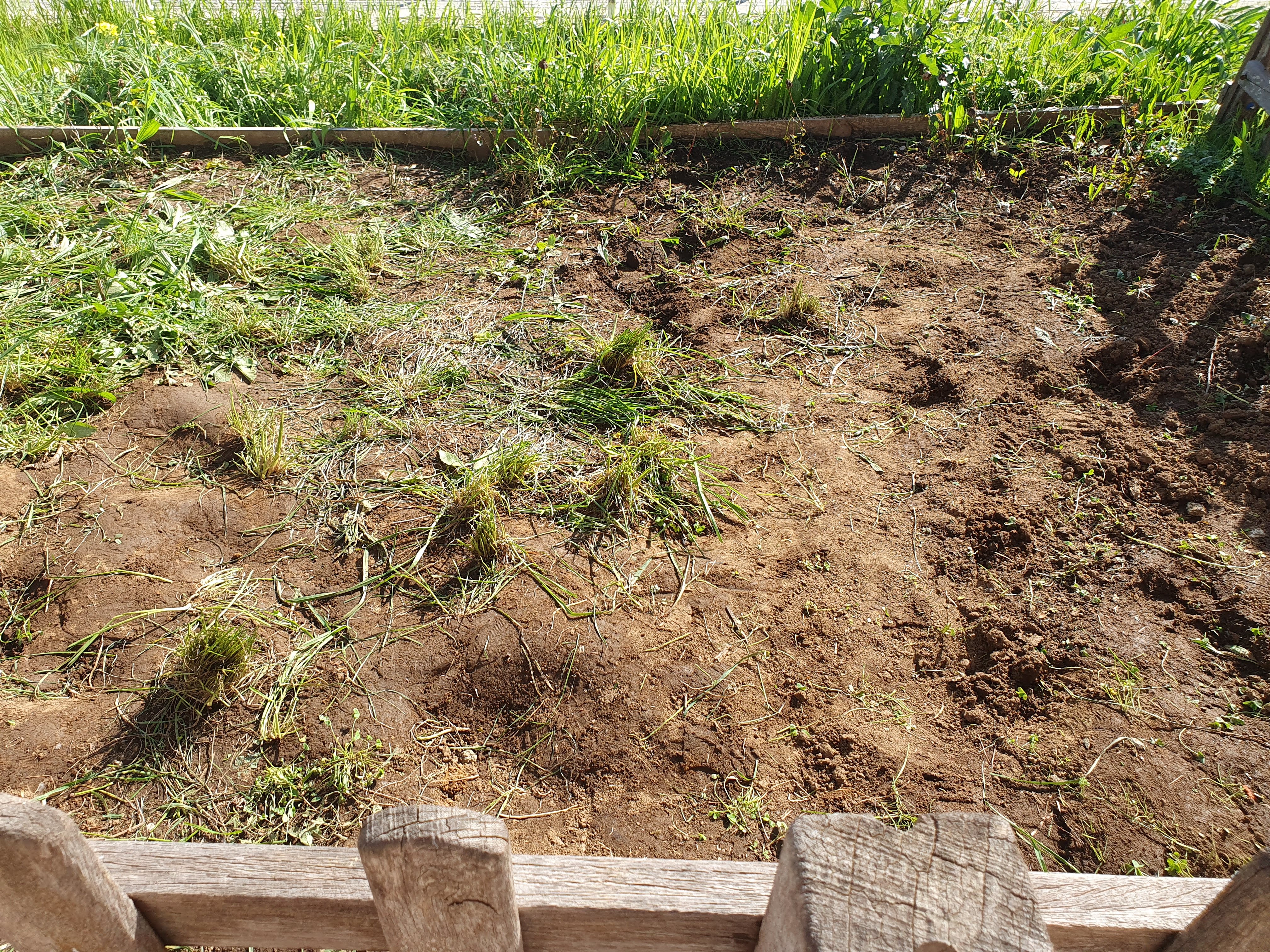Preparação do Terreno