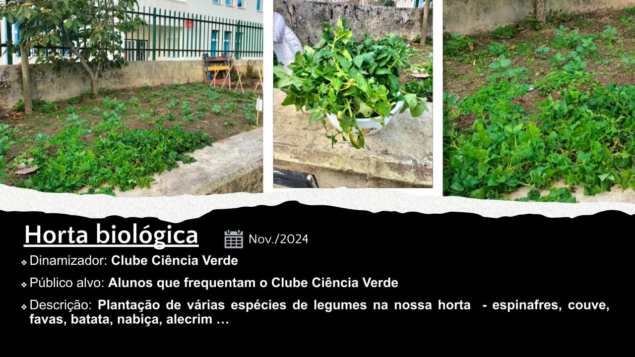 Horta biológica 1