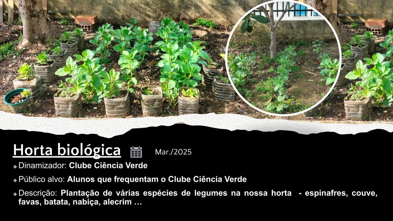 horta_março