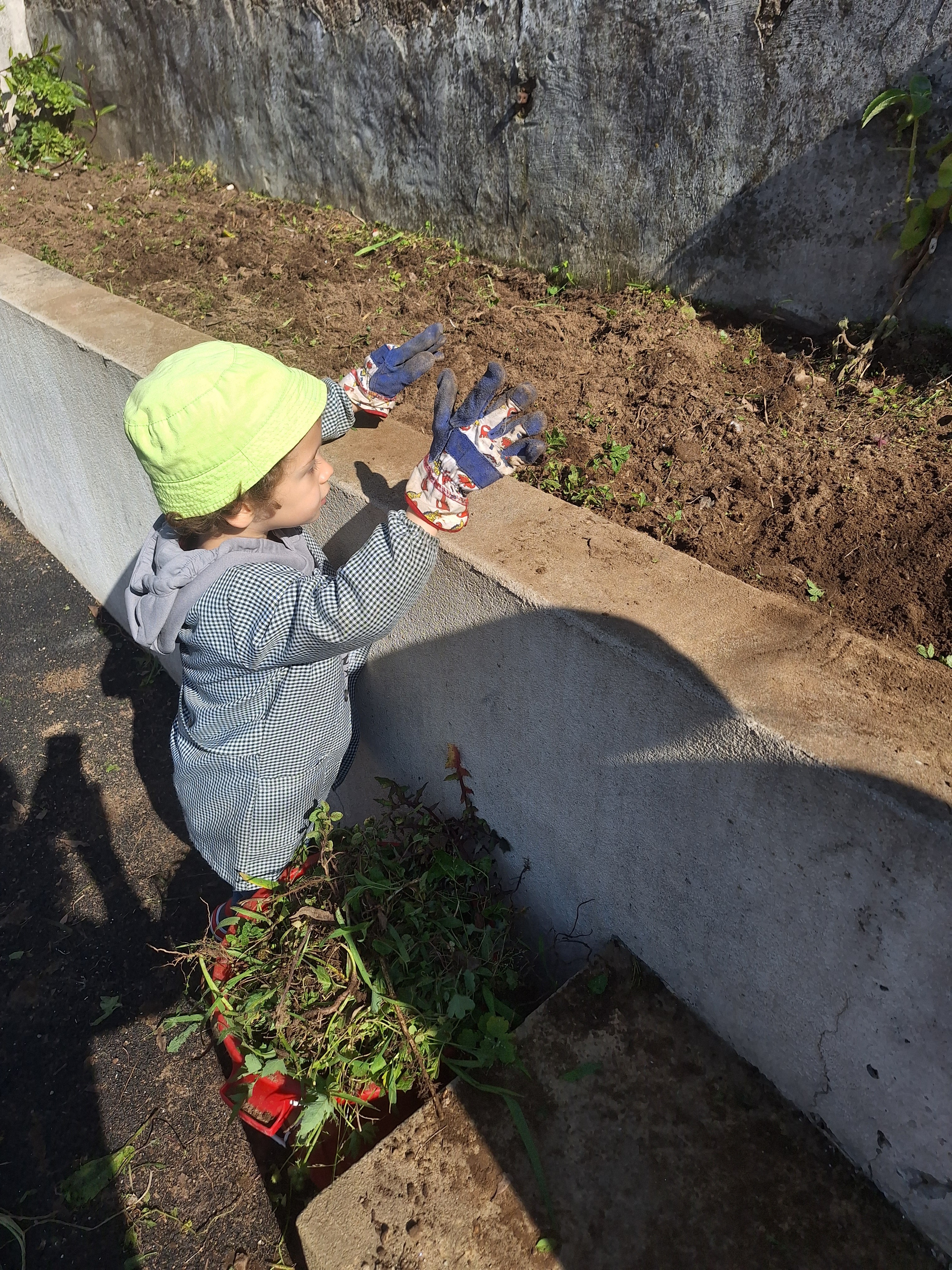 Espanto/admiração/encantamento perante a modificação do espaço natureza. Os alunos já vão compreendendo ser possível cuidar e cultivar.