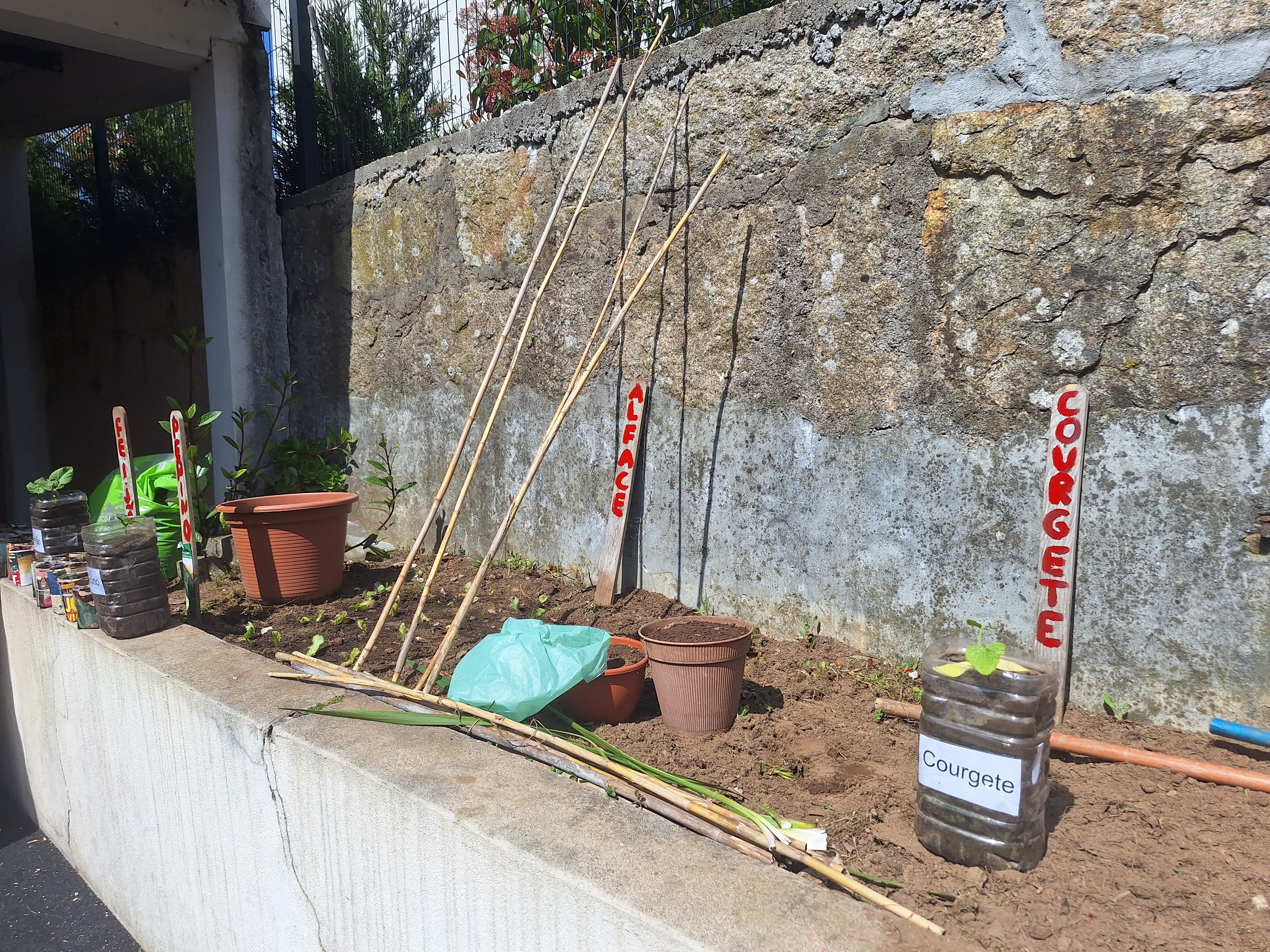 Preparação das placas de identificação das plantas.