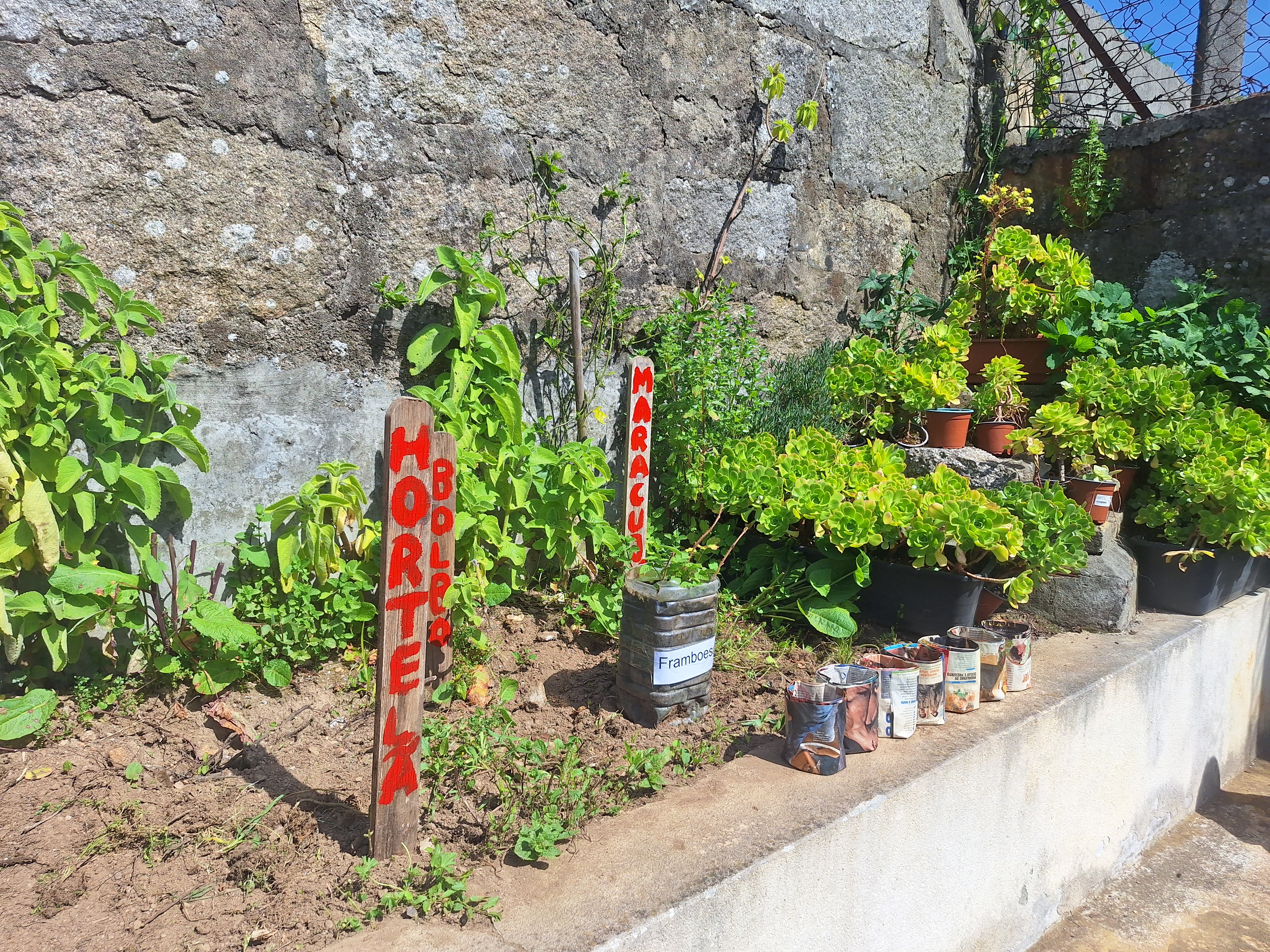 Plantas com as respetivas placas de identificação. Trabalho feito após pesquisas de nomes corretos/científicos das plantas.