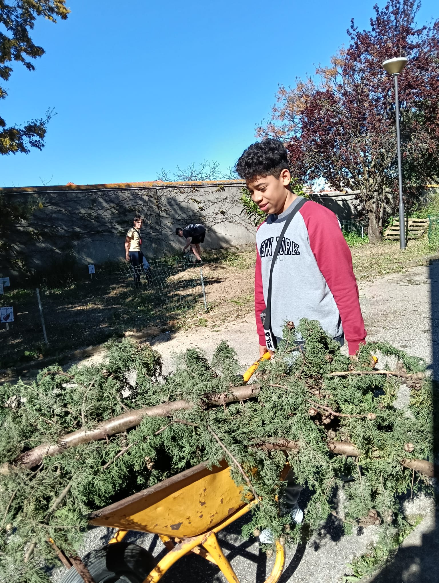 24 de março, recolha dentro do espaço escolar de ramos e galhos partidos pela tempestade para serem utilizados para delimitar as zonas plantadas/semeadas da horta