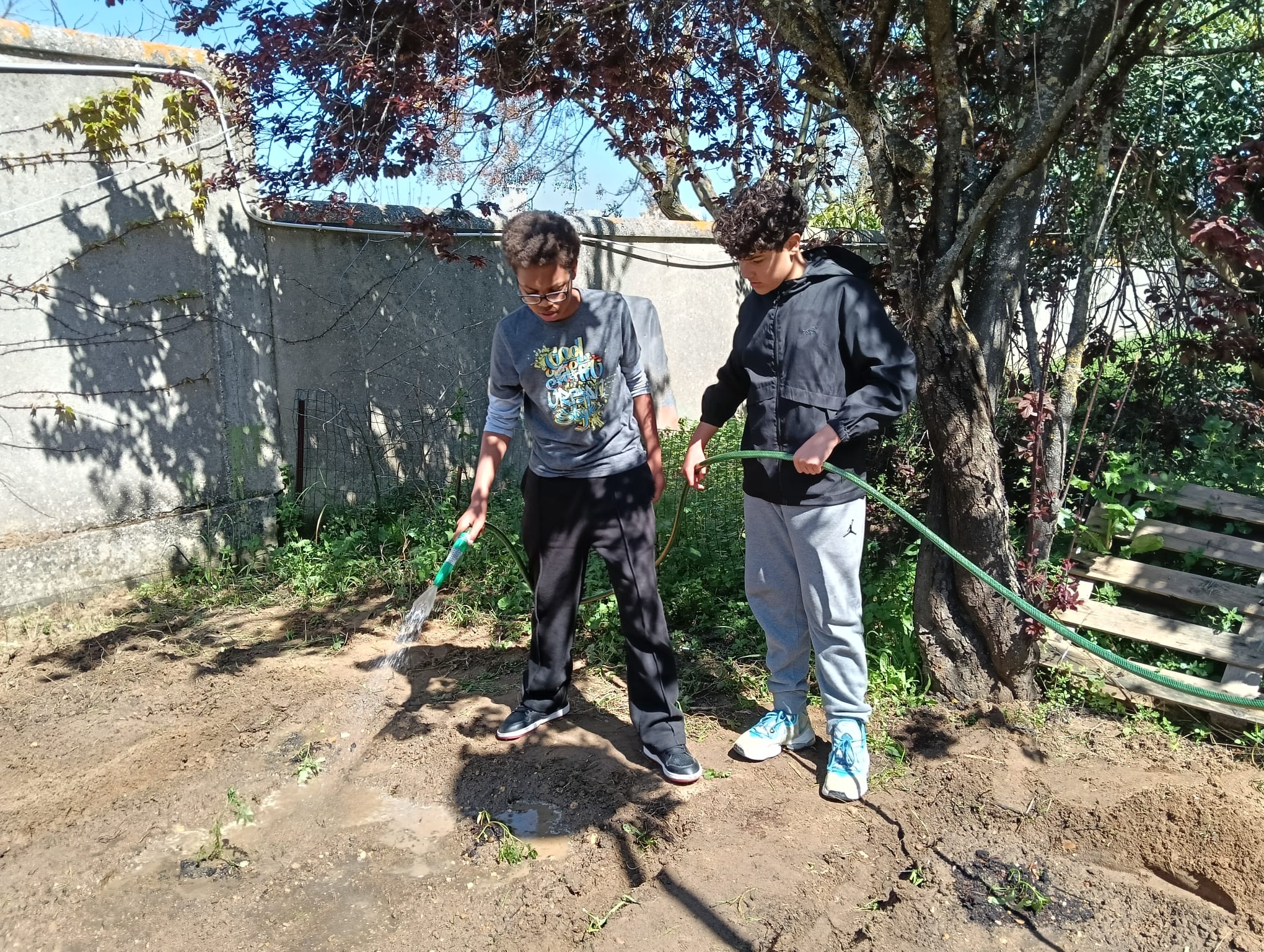28 de março, com o calor a apertar foi necessário regar com cuidado o recém plantado