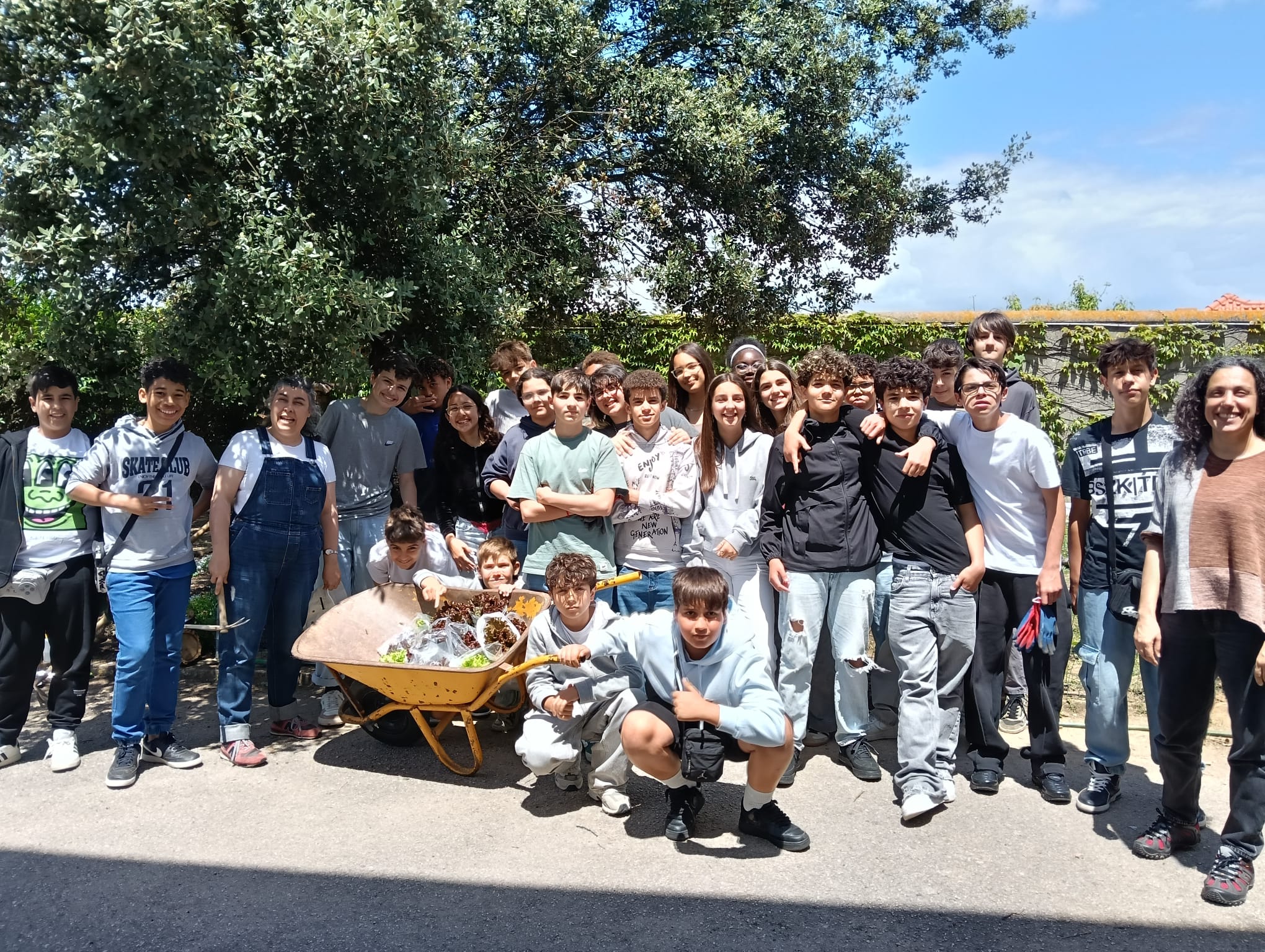 9 de maio, colheita das primeiras alfaces que depois de acondicionadas em sacos individuais, os alunos puderam levar para saborear em casa com os seus familiares