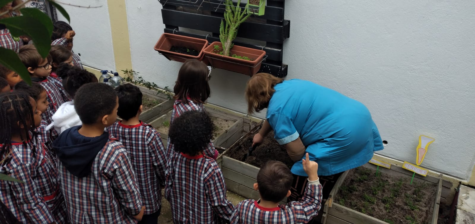 Os nossos alunos da Pré descobrem a horta.