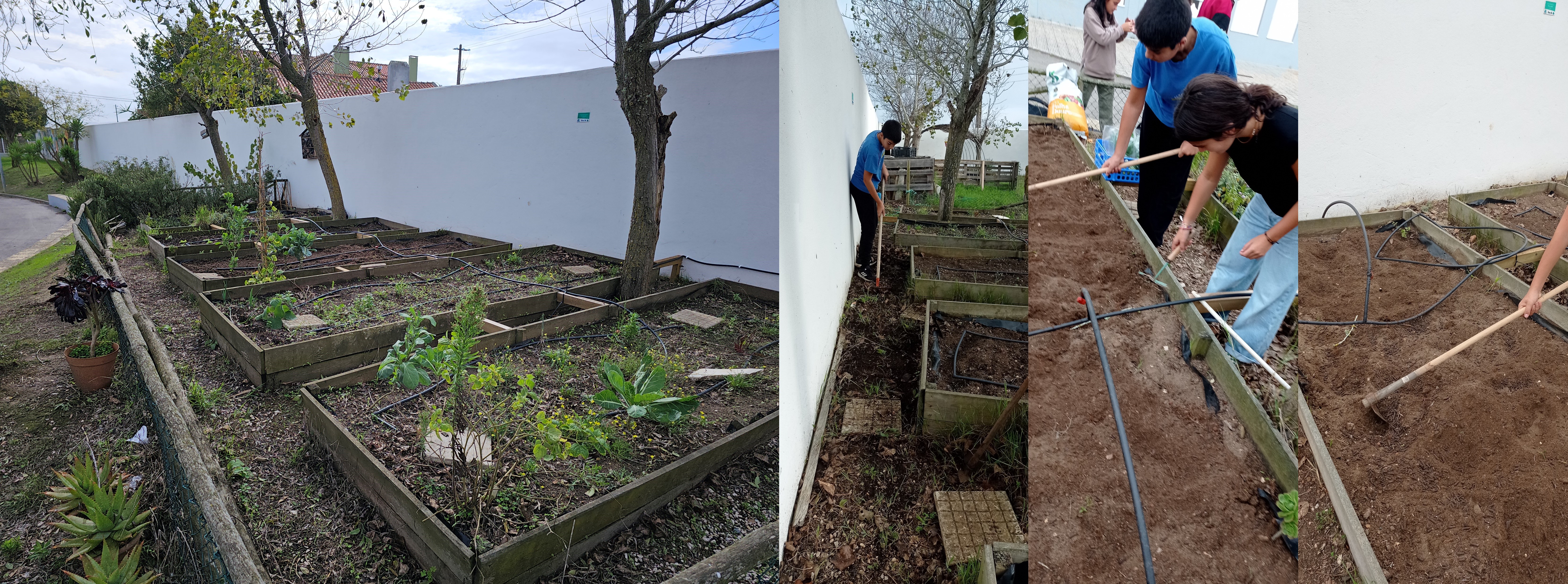 Limpeza da horta e preparação das terras