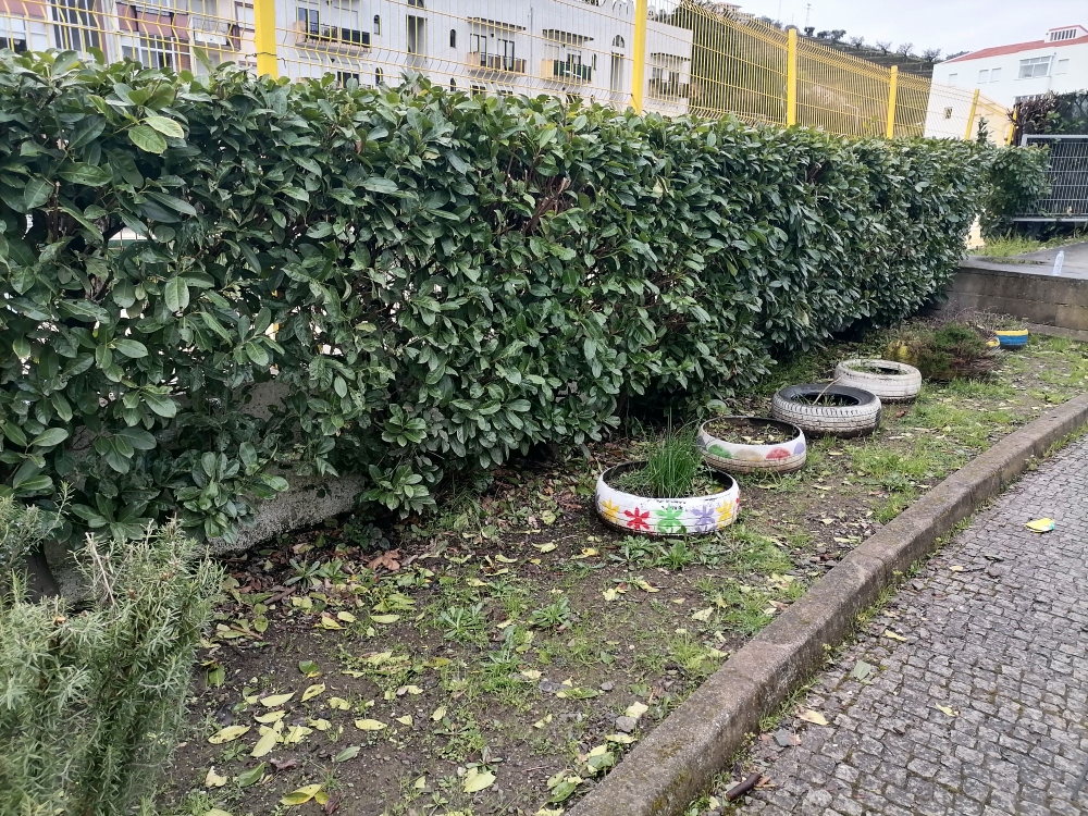 Zona das ervas aromáticas, com canteiros feitos de pneus