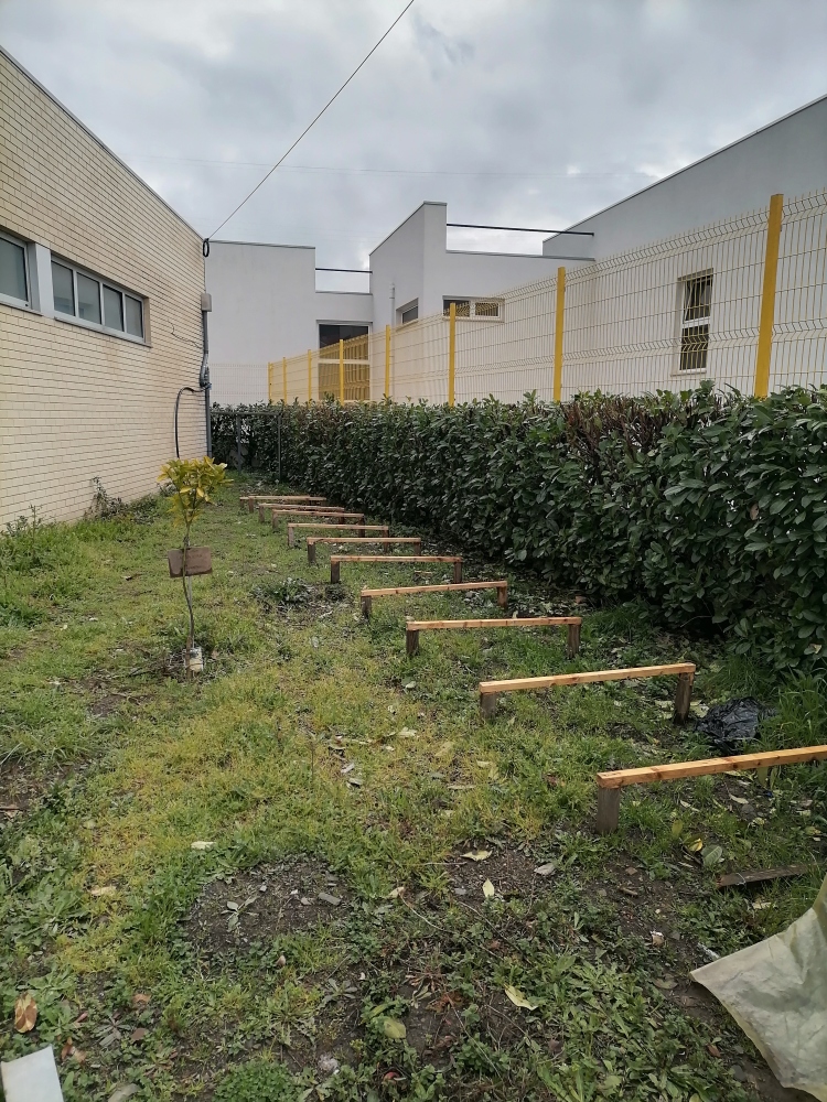 Zona de plantio/sementeira de legumes, onde está delimitado um espaço para cada turma.