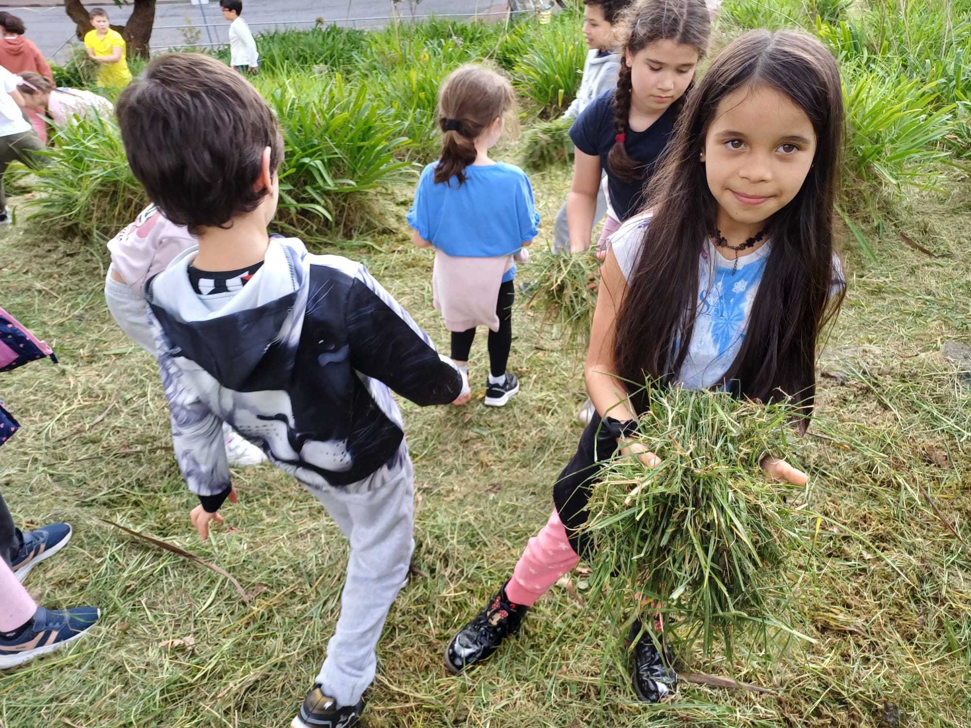 Recolha de verdes para a compostagem