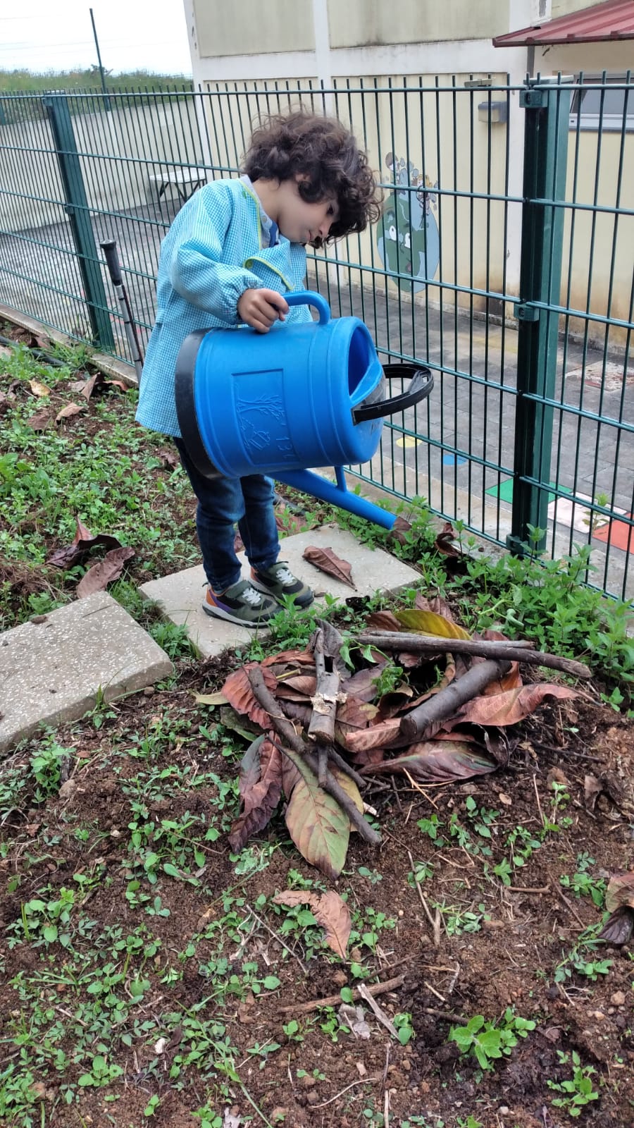 Rega da plantação de pimpineleira após empalhamento.