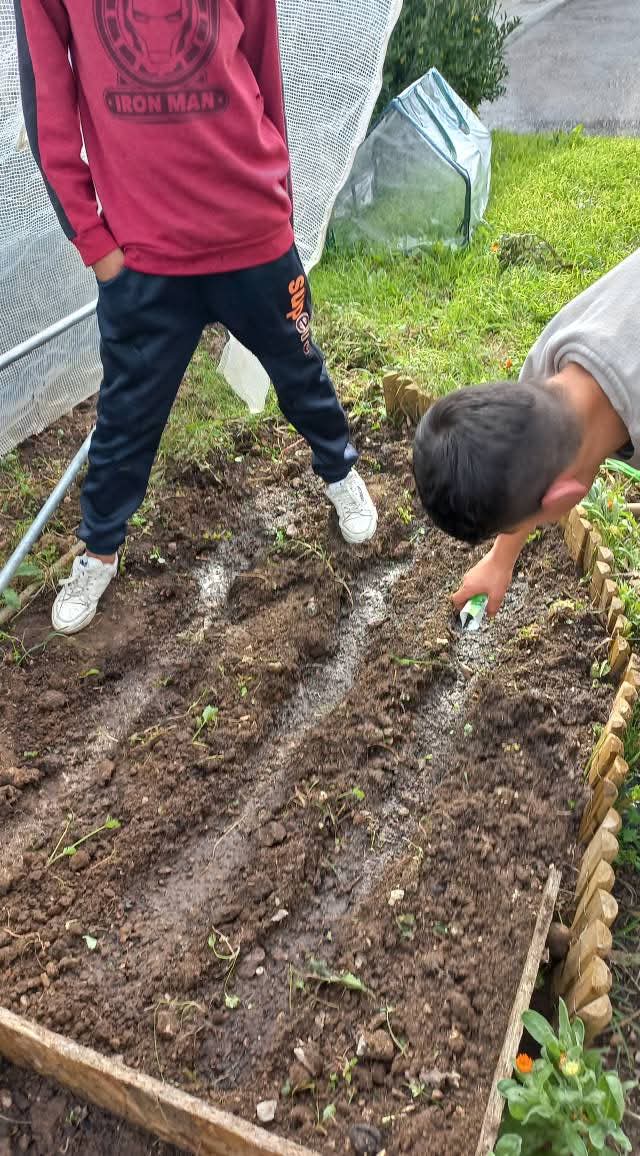 Preparação e sementeira da horta 2