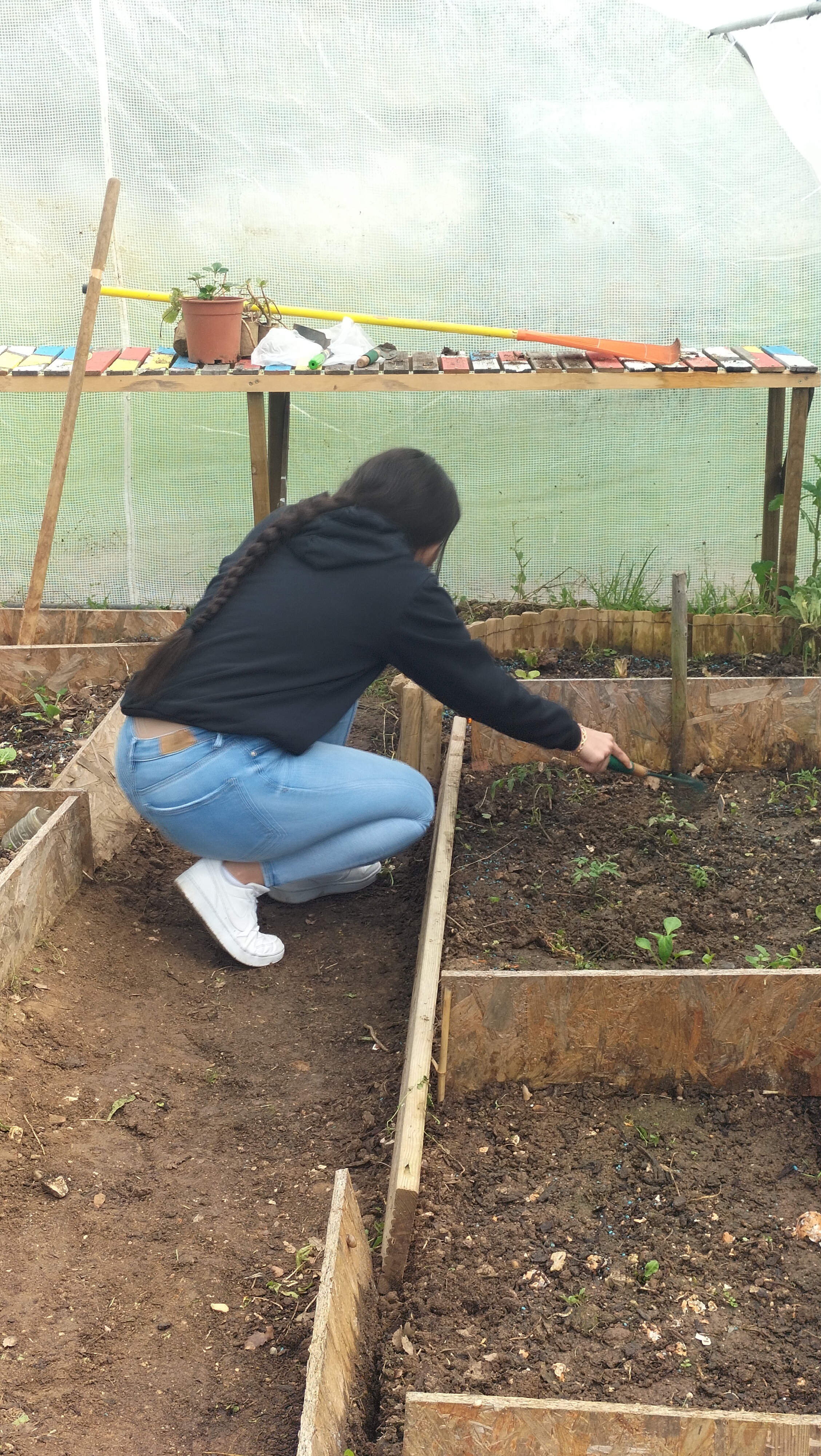 Sementeira de vários produtos hortícolas