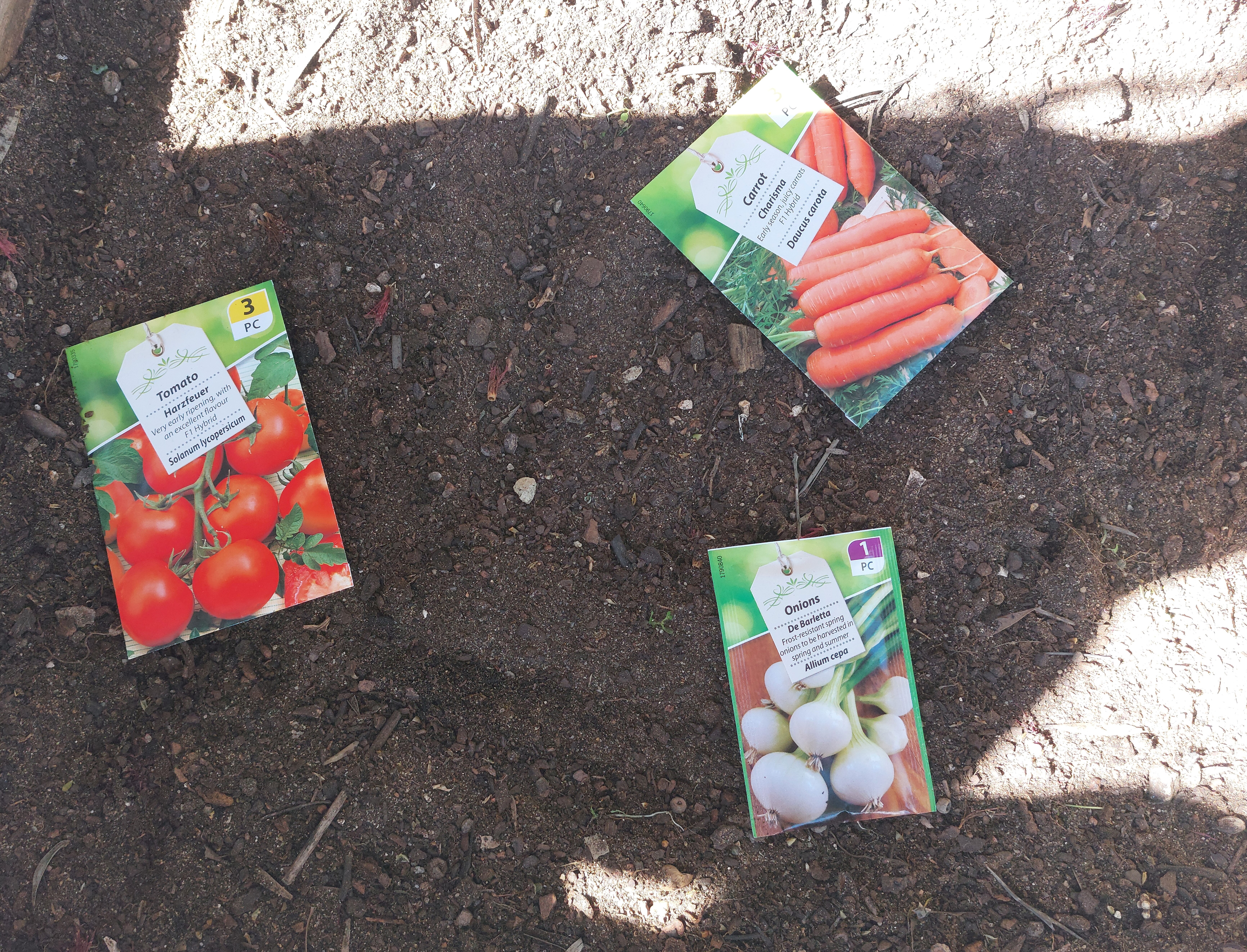 Algumas sementes escolhidas para a hortinha.