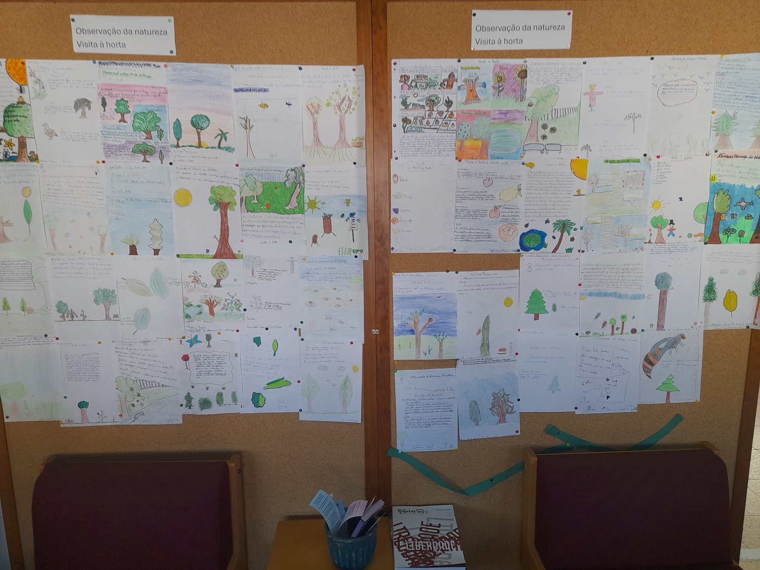 Escola Básica de Palmeira
Observação da natureza: visita à horta
No âmbito da disciplina de Ciências de 5.º ano, duas turmas A e F, na perspetiva de observação e análise das rochas, solos, seres vivos e sua correlação no habitat, visitaram a Horta e ela