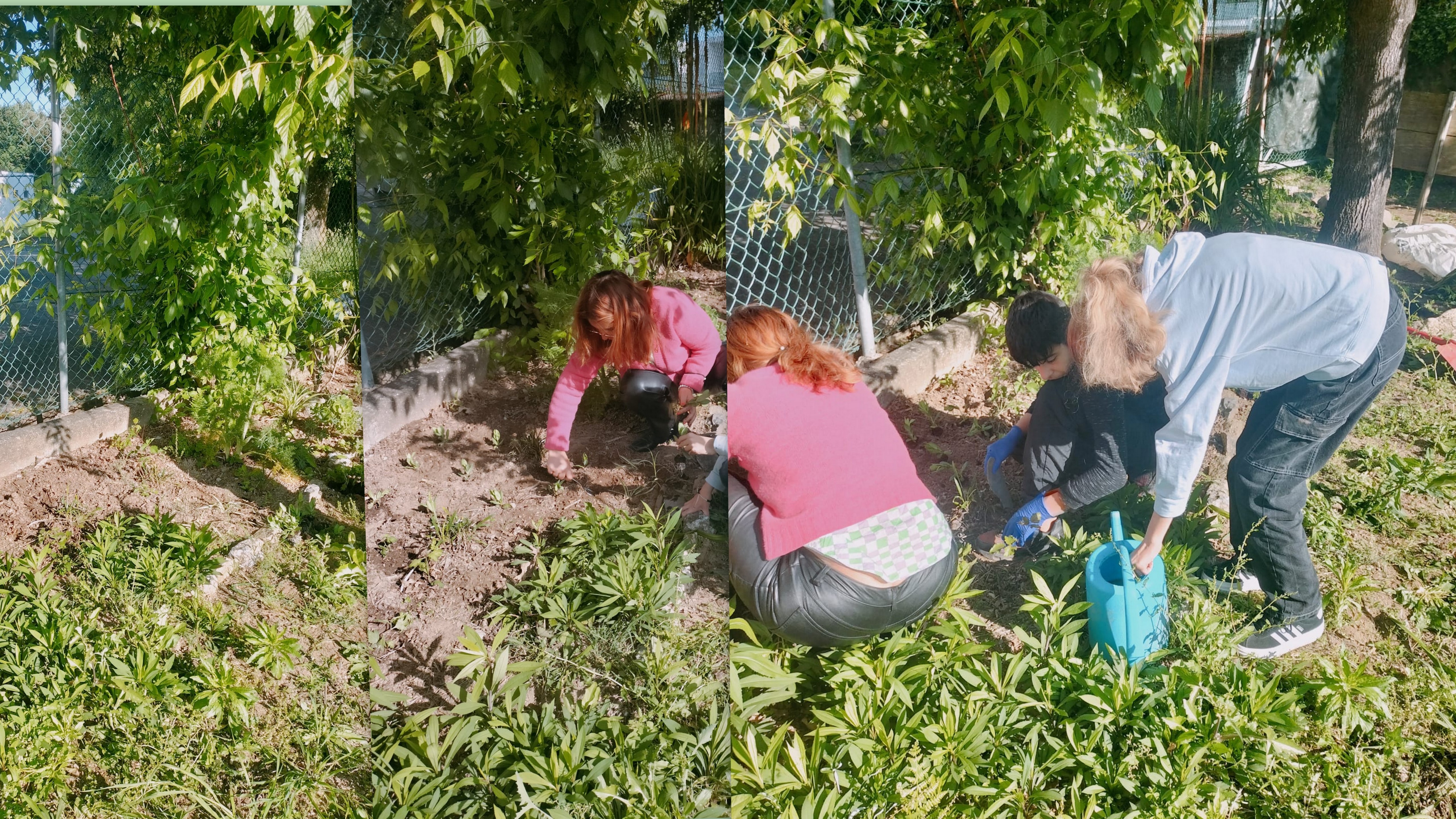Escola Básica de Palmeira
Aula na horta com alunos da Educação Especial, com a plantação de algumas plantas na zona do jardim.