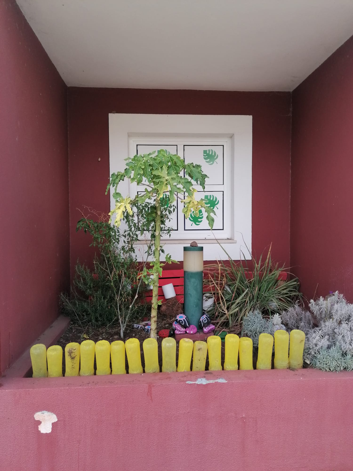 Horta da Sala Azul