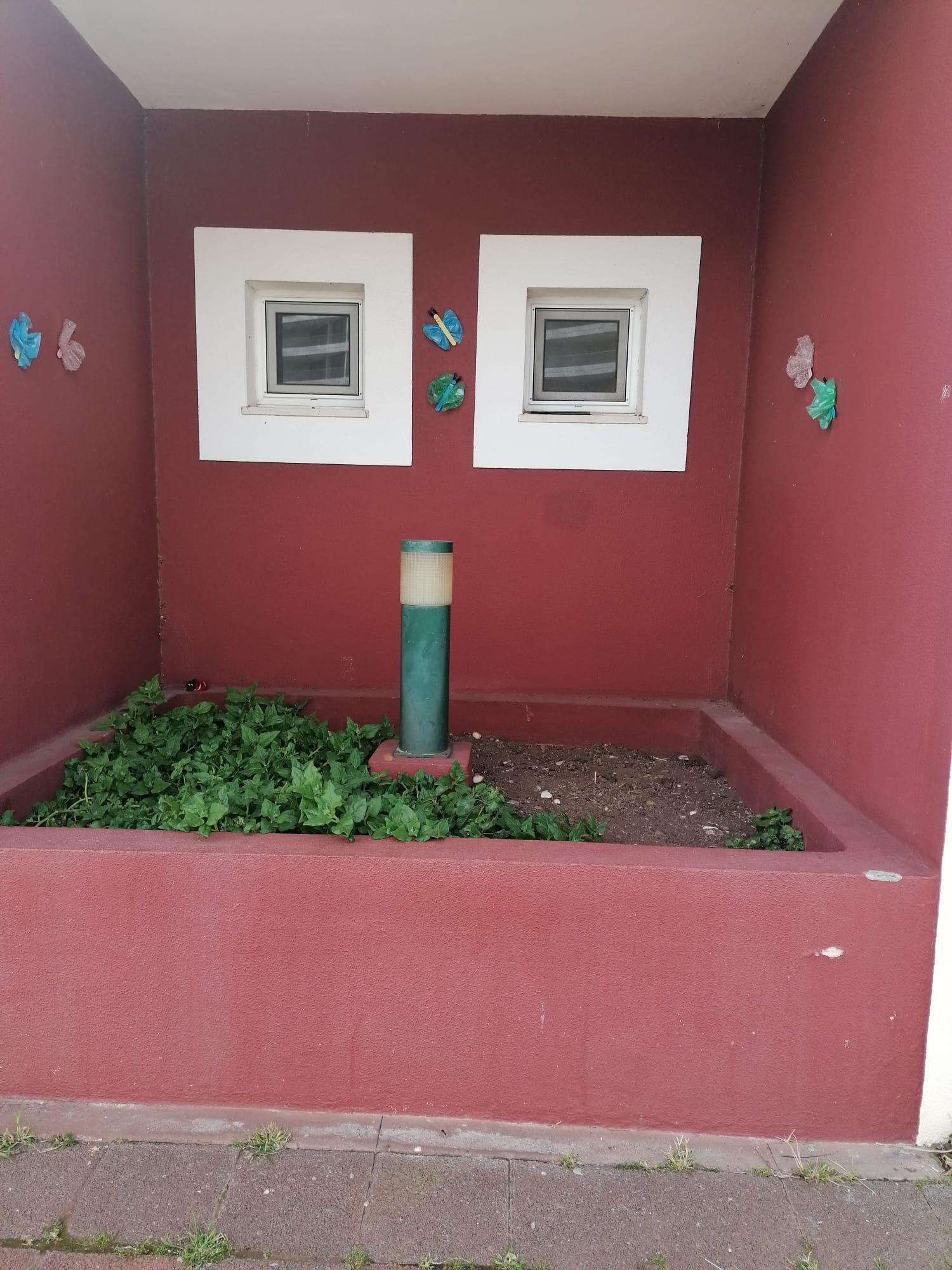 Horta da Sala Branca