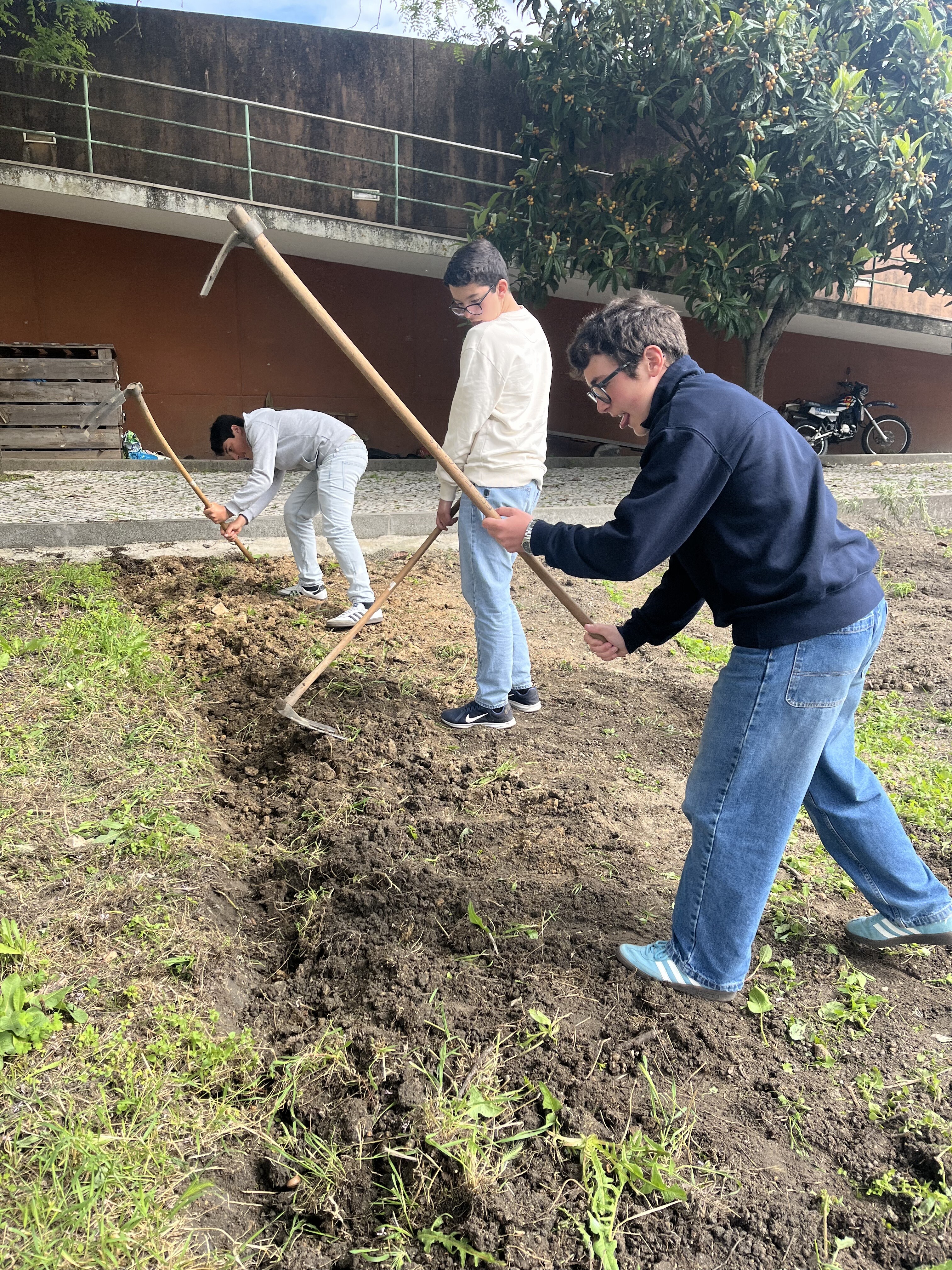 Organização do terreno, retirada de ervas e elaboração dos canteiros