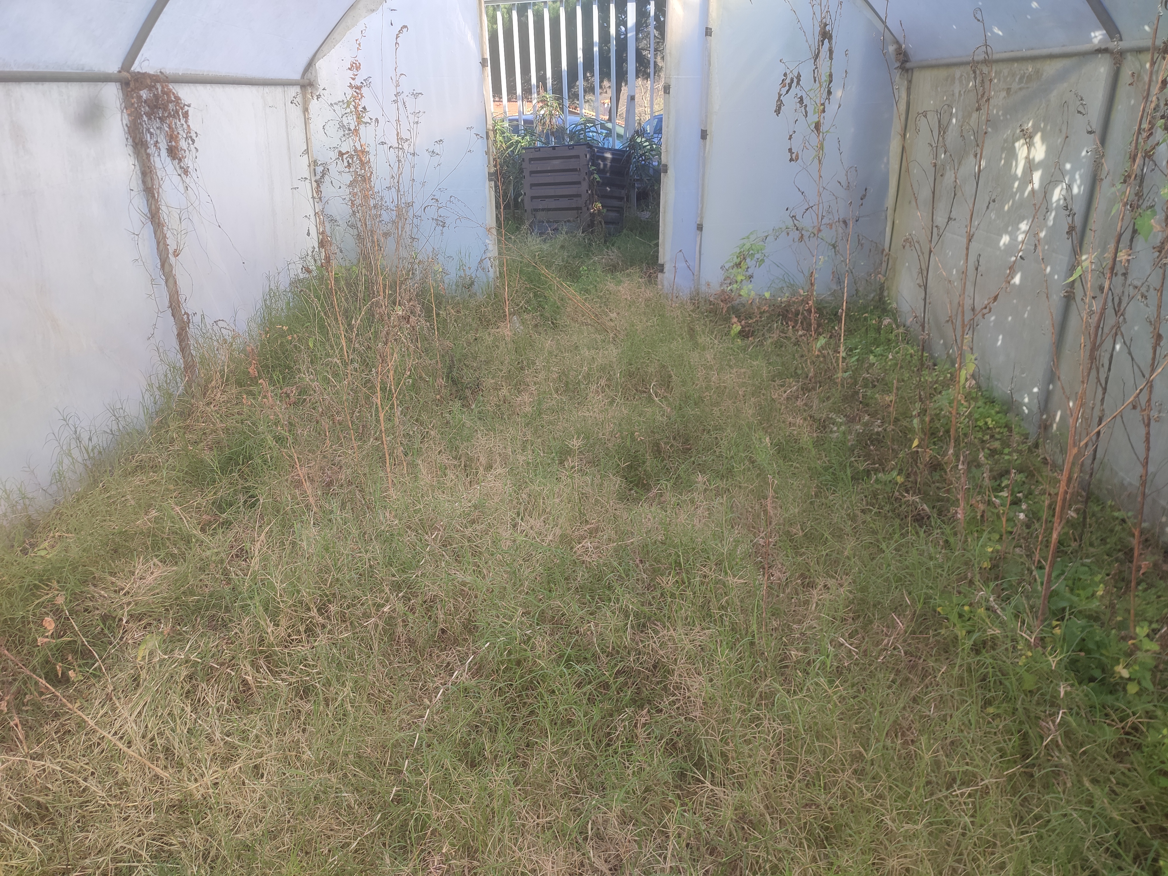 Abandono 1