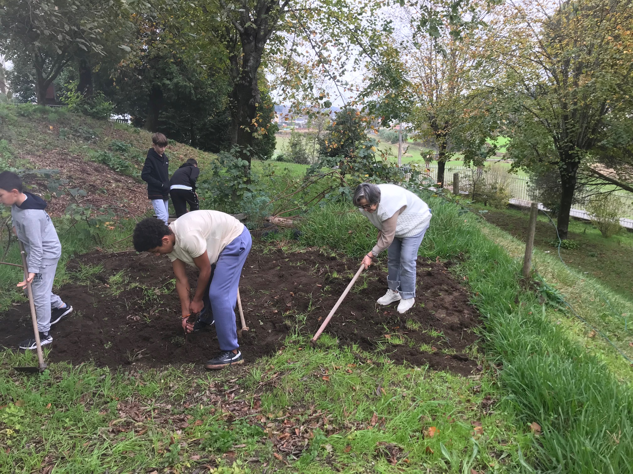Preparação do terreno.