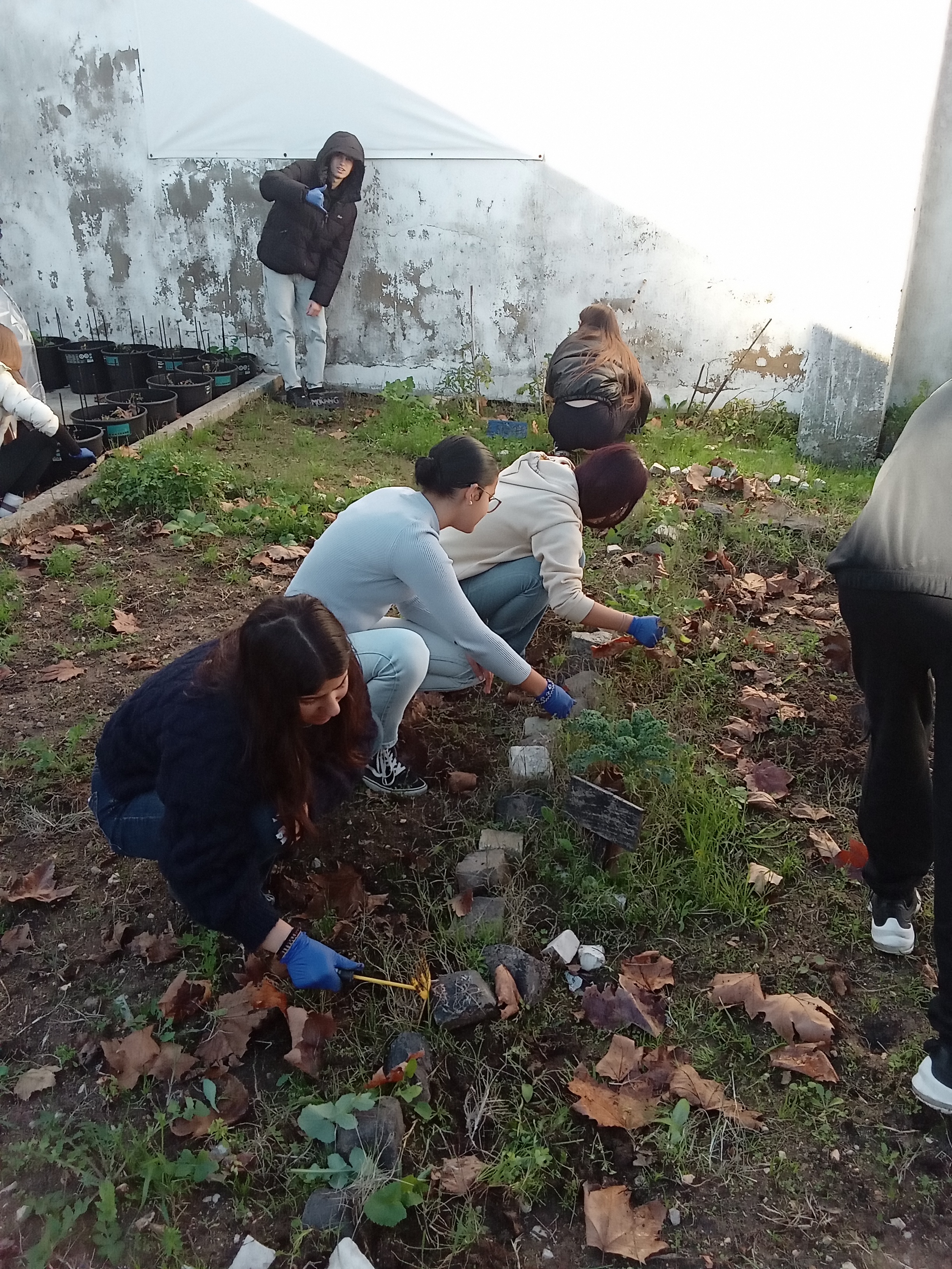 1-	Limpeza e manutenção do espaço da Horta Pedagógica