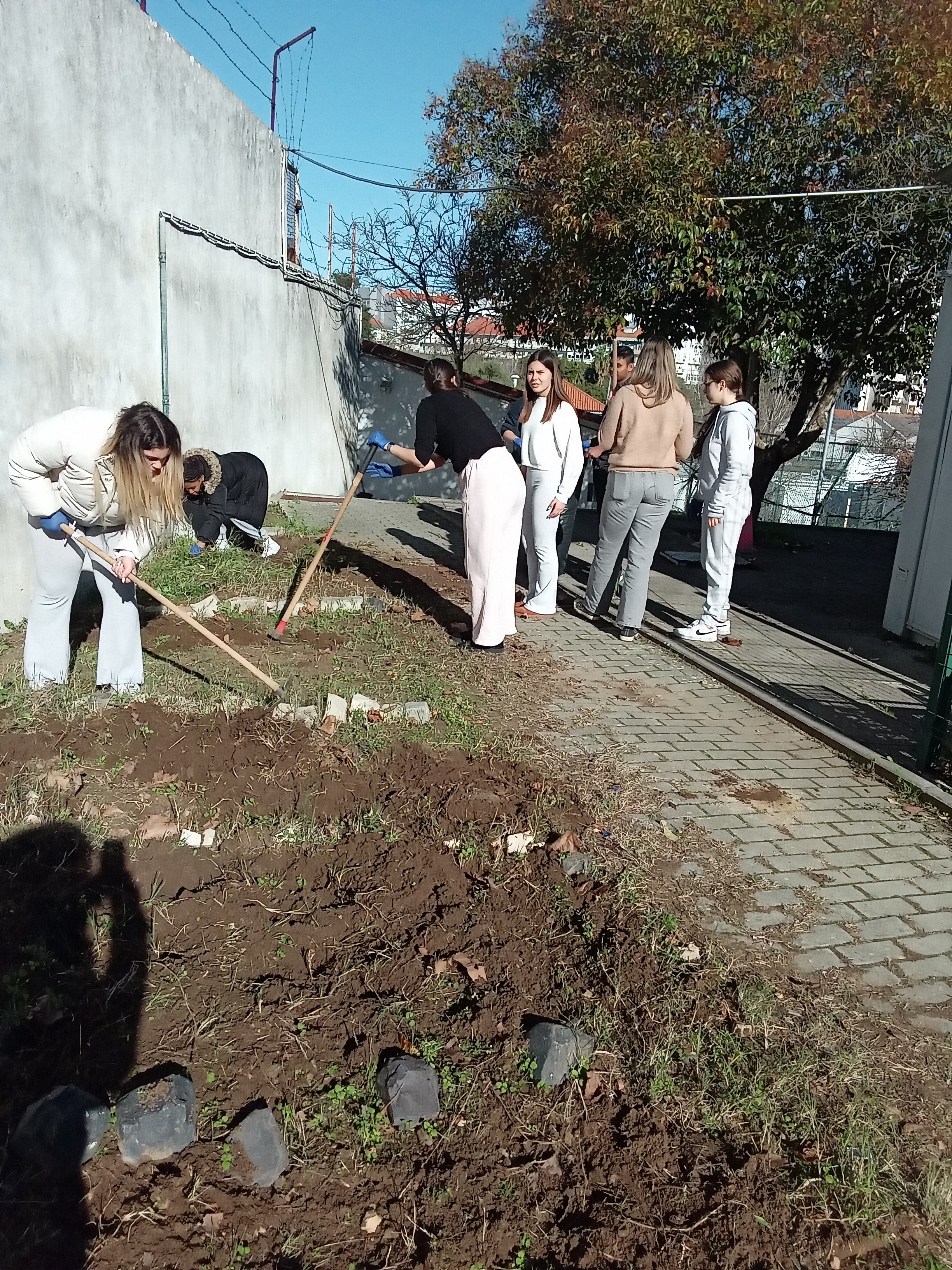 2-	Preparação do terreno para plantação e sementeira
