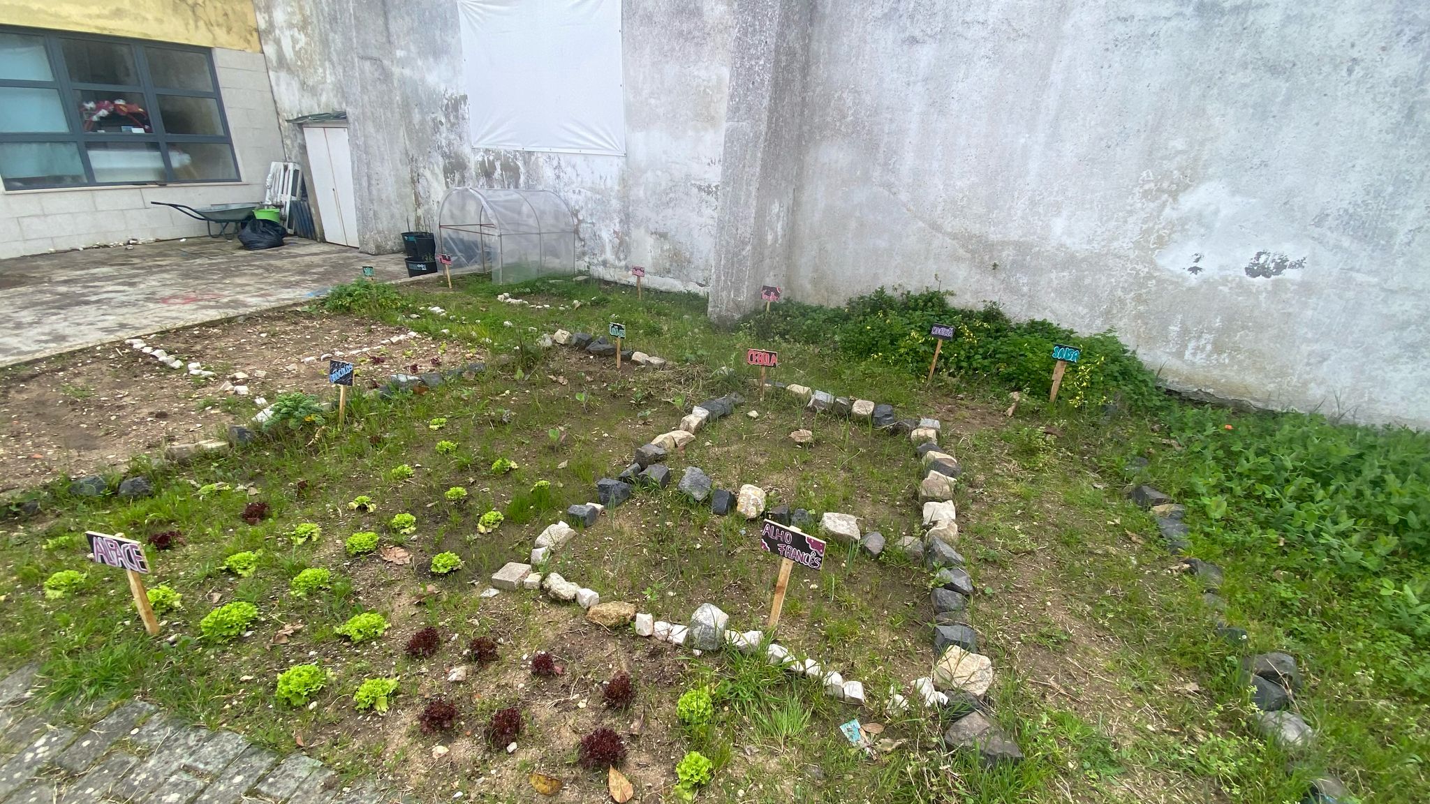 Evolução da horta: perspetiva do crescimento das sementeiras e plantações