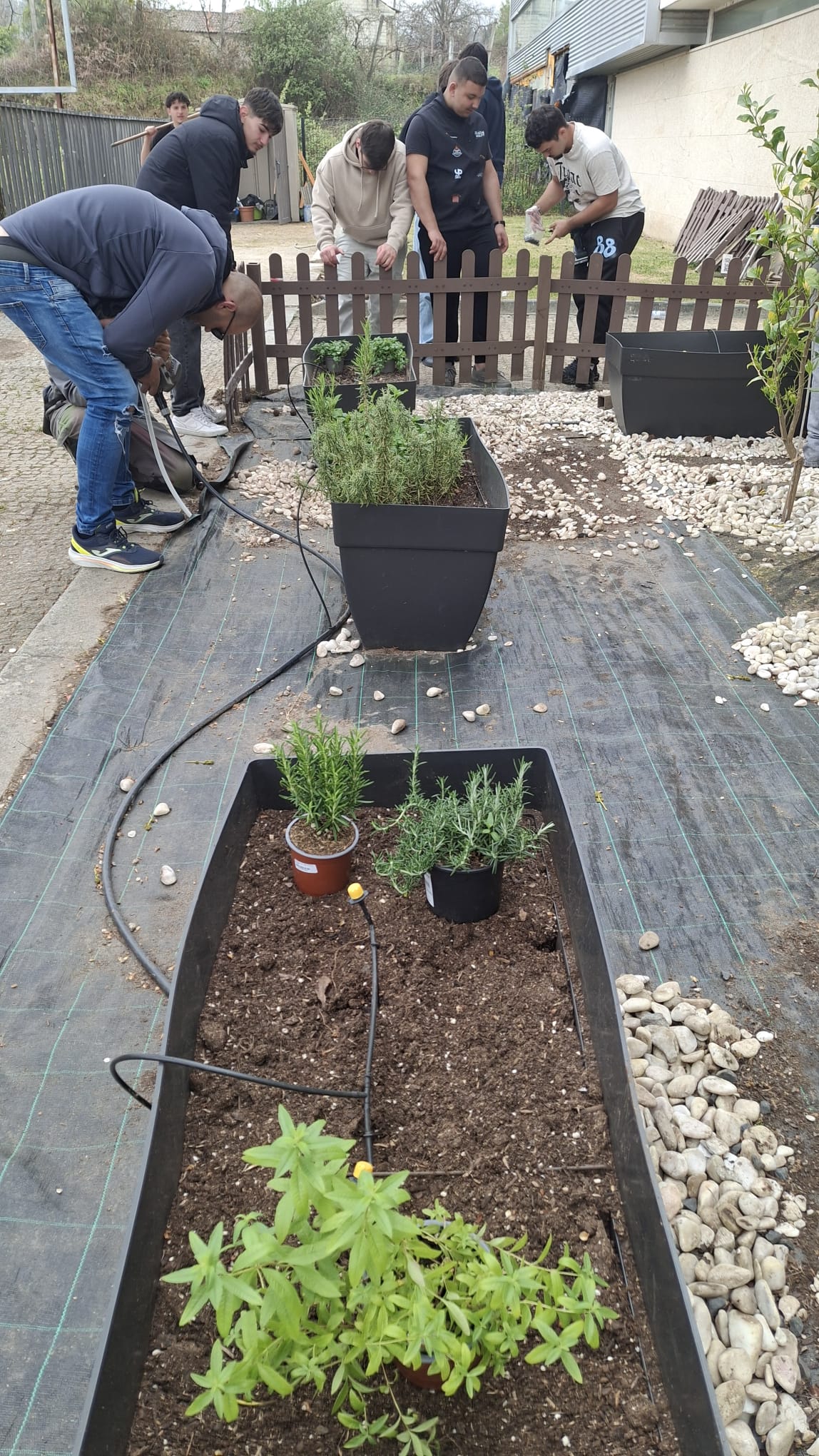 Verificação do sistema de rega do jardim.