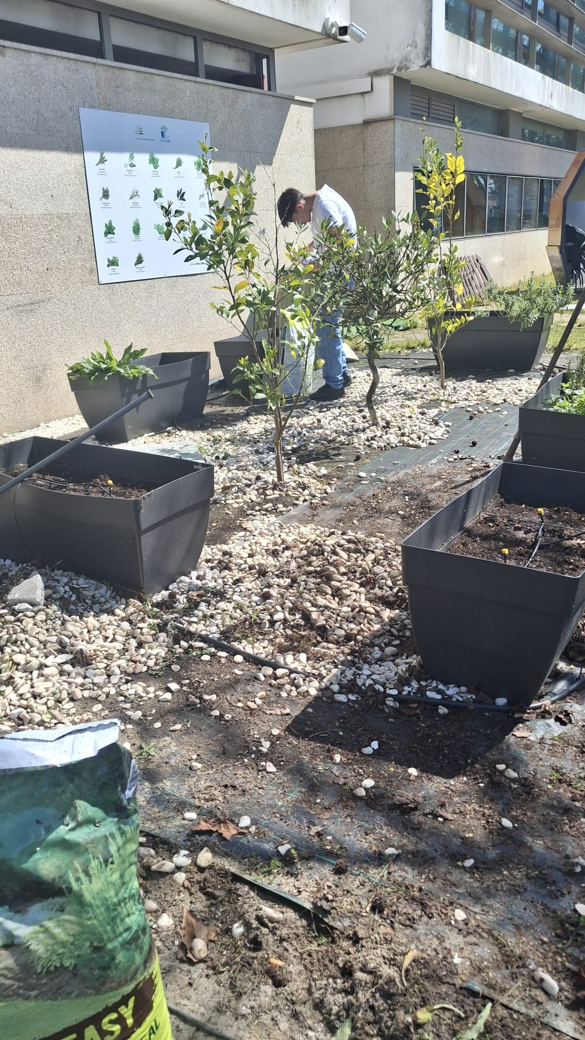 Limpeza e levantamento de todo o espaço do jardim de aromáaticas.