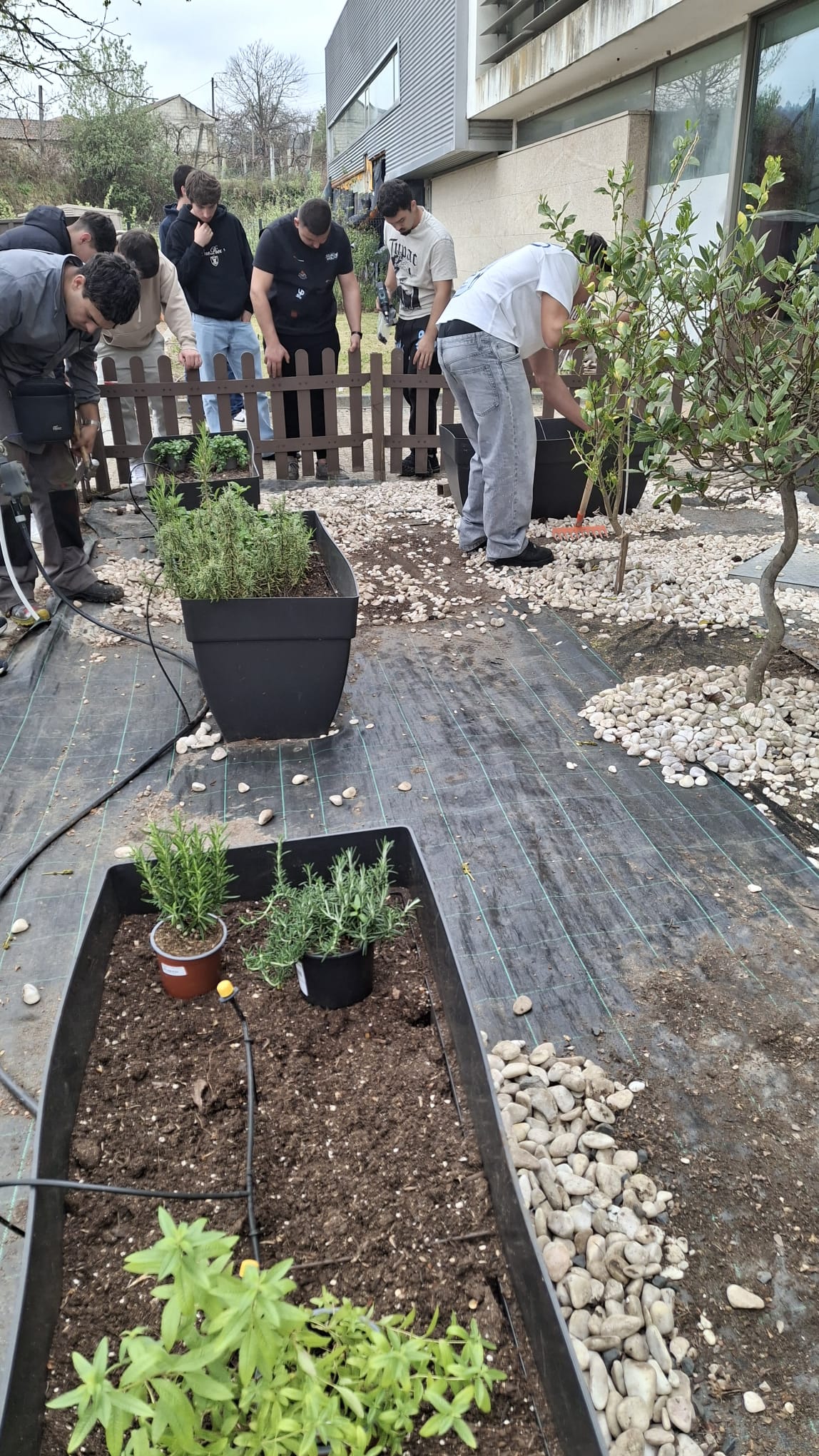 Plantação de novas plantas nos ocais em falta.