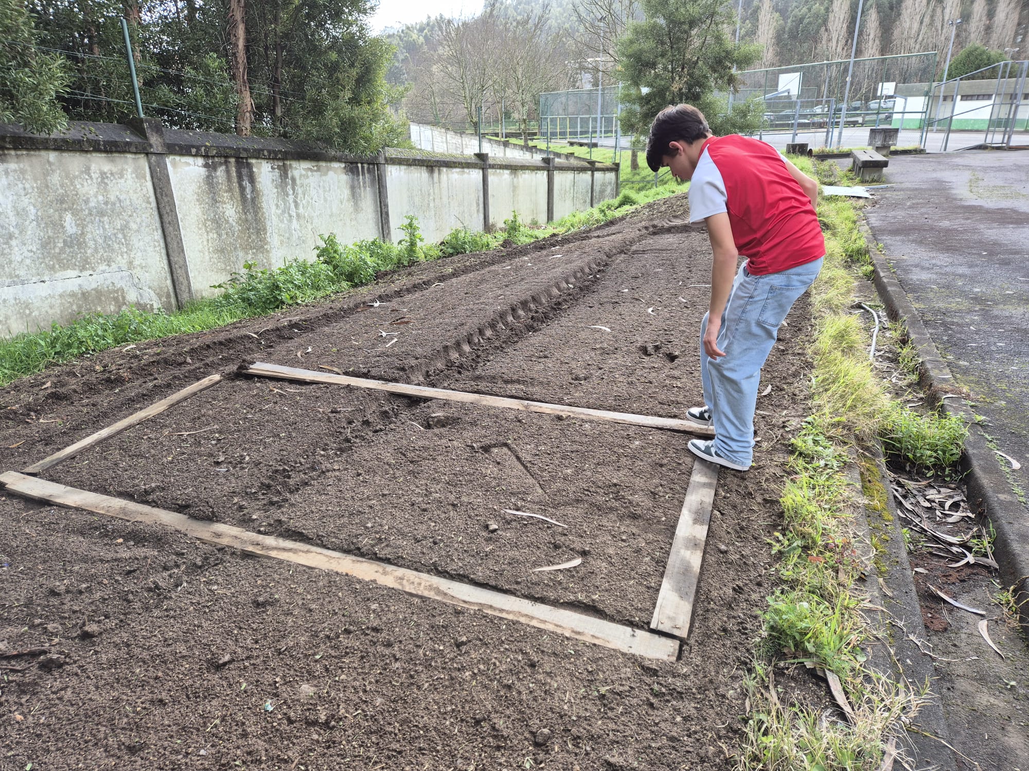Inicio dos trabalhos, alisamento da terra, arranque de ervas e individualização dos talhões com a madeira do ano anterior.