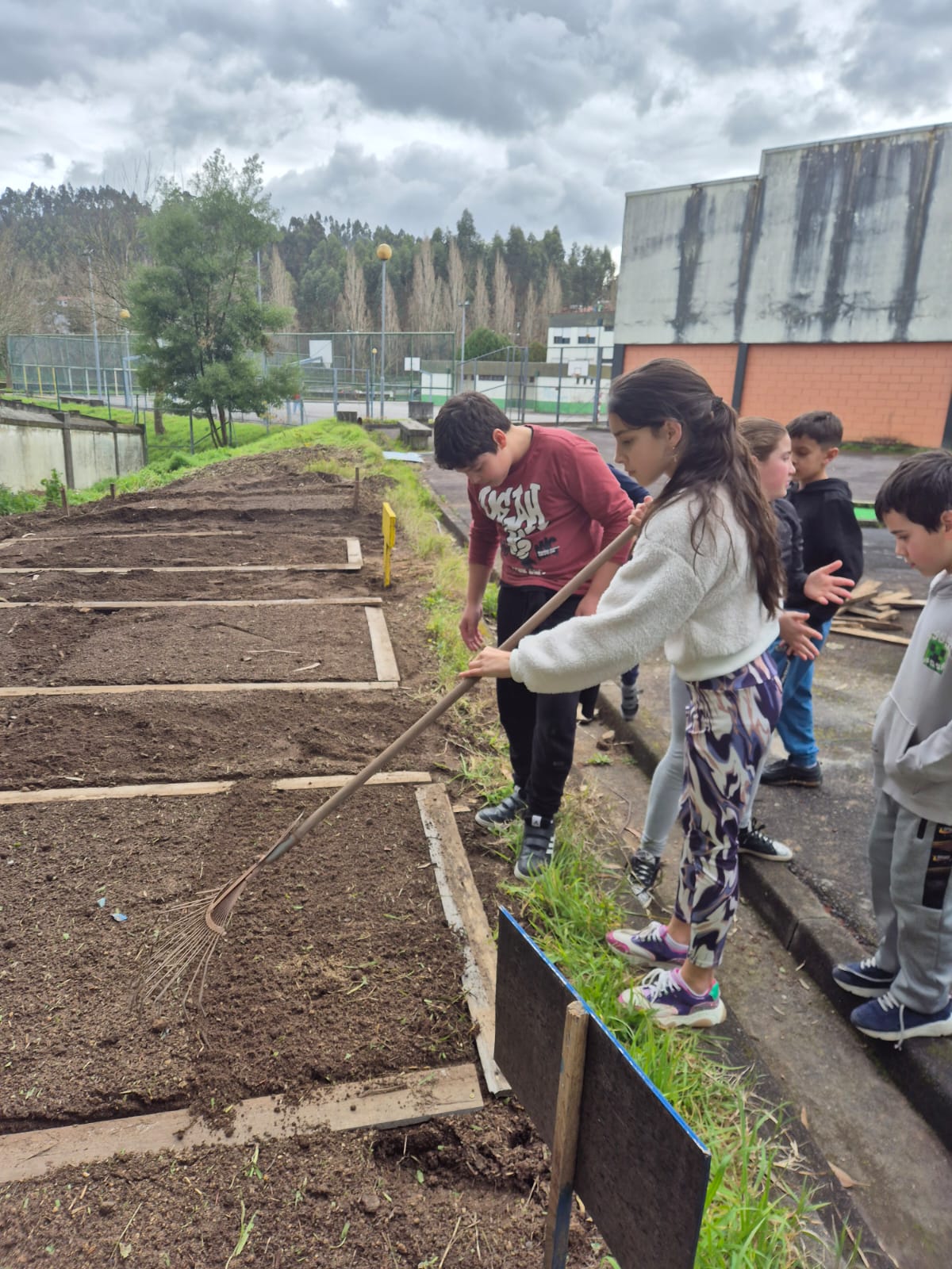 Primeiras sementeiras realizadas pelos alunos do 2º ciclo.