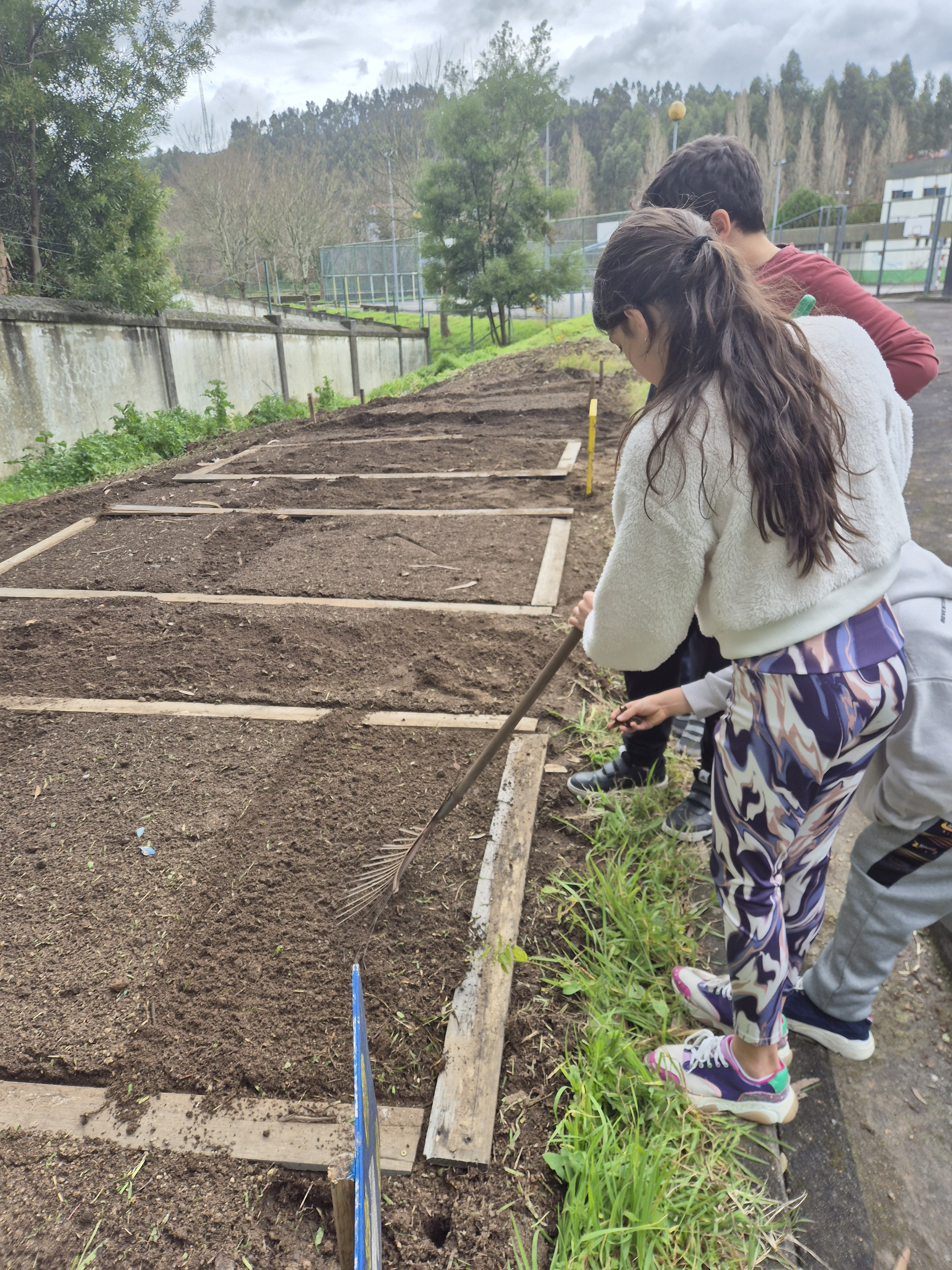 Fase 2