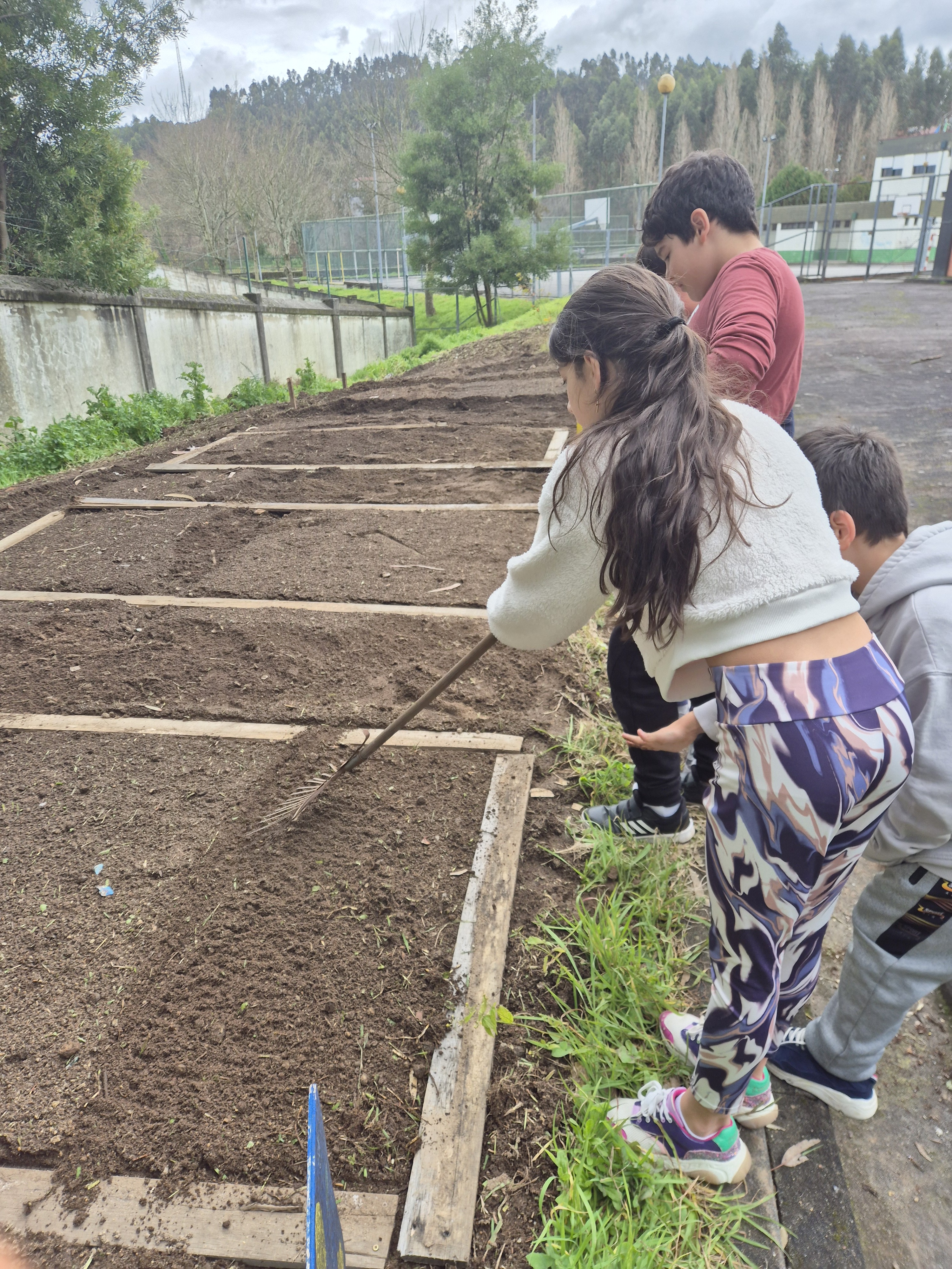 Fase 2
