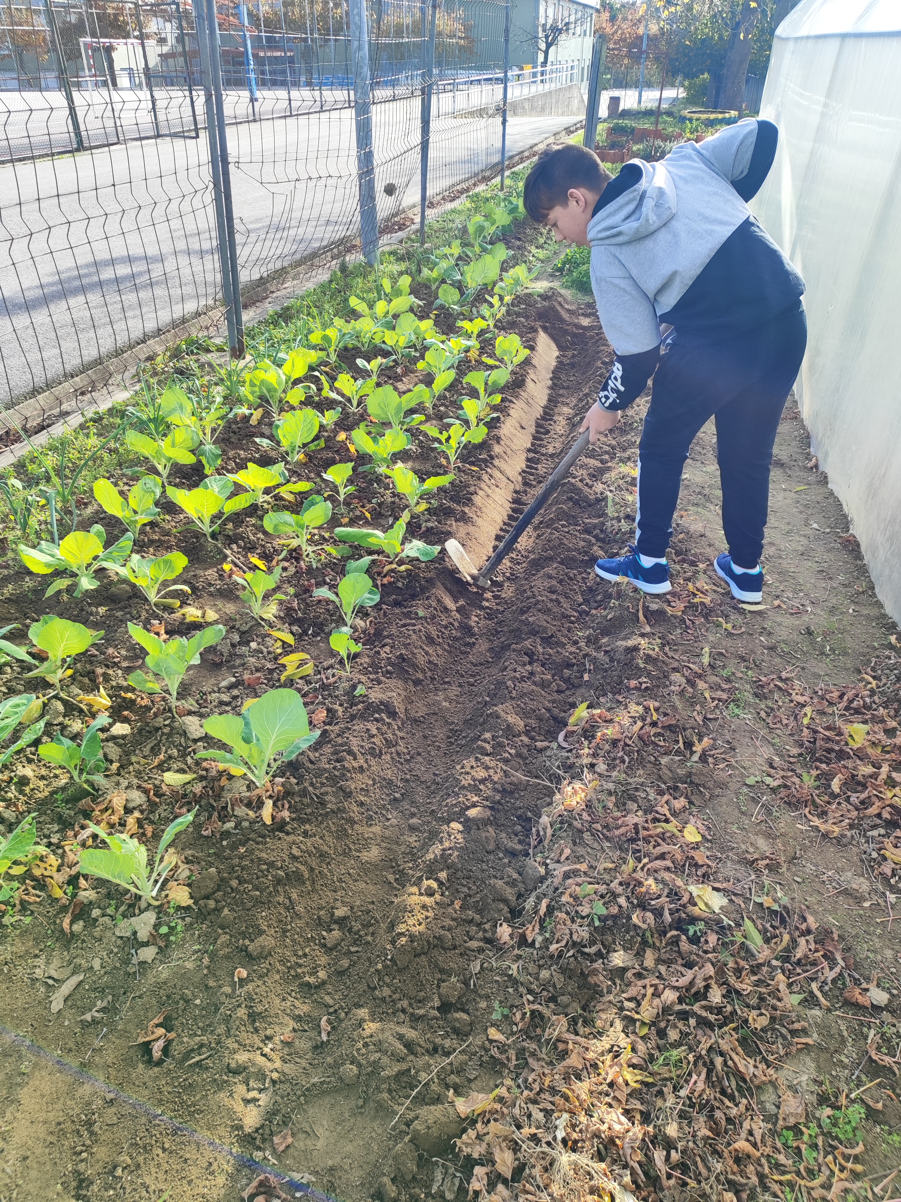 Aprender fazendo.