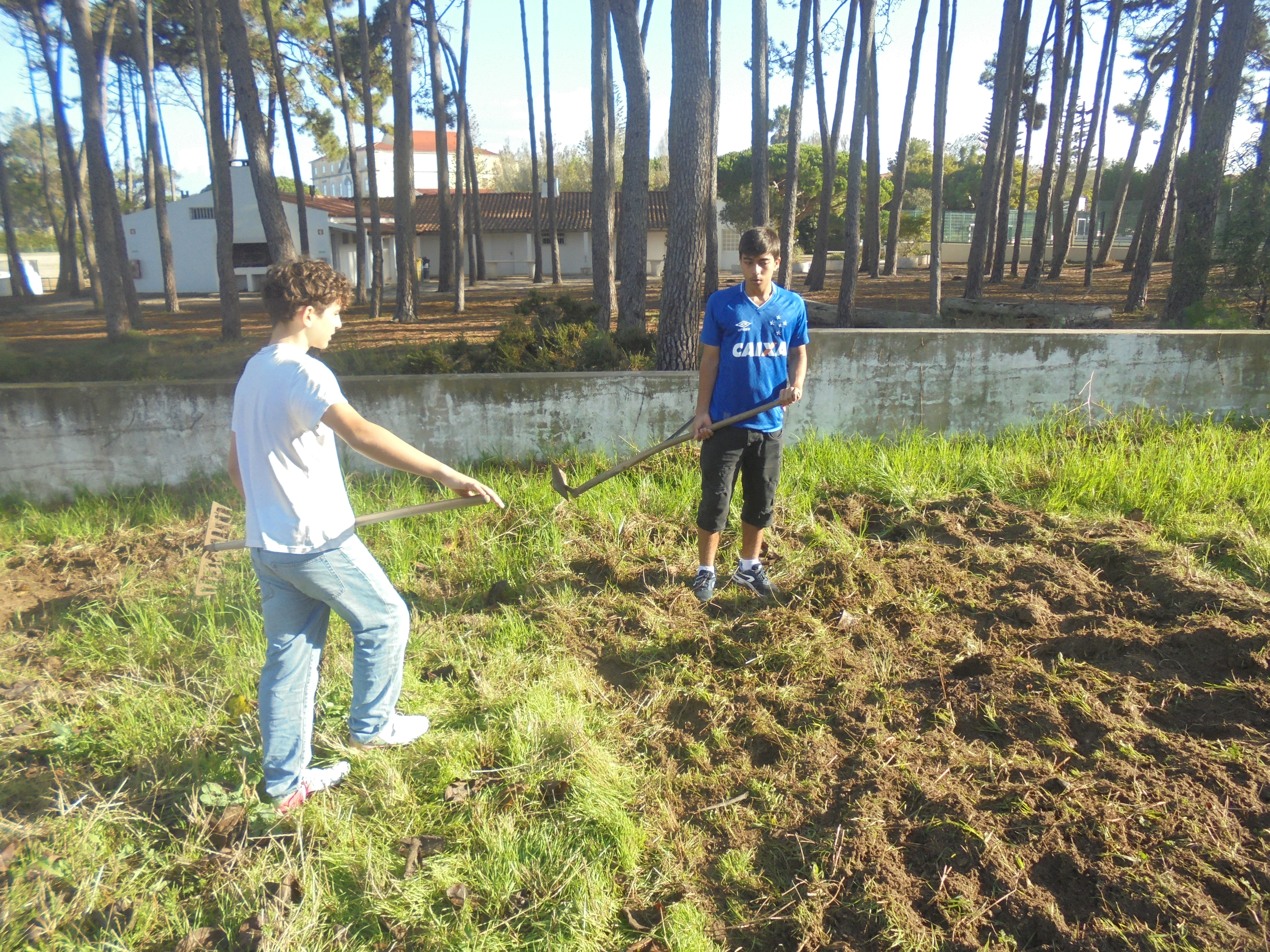 Preparação do terreno
